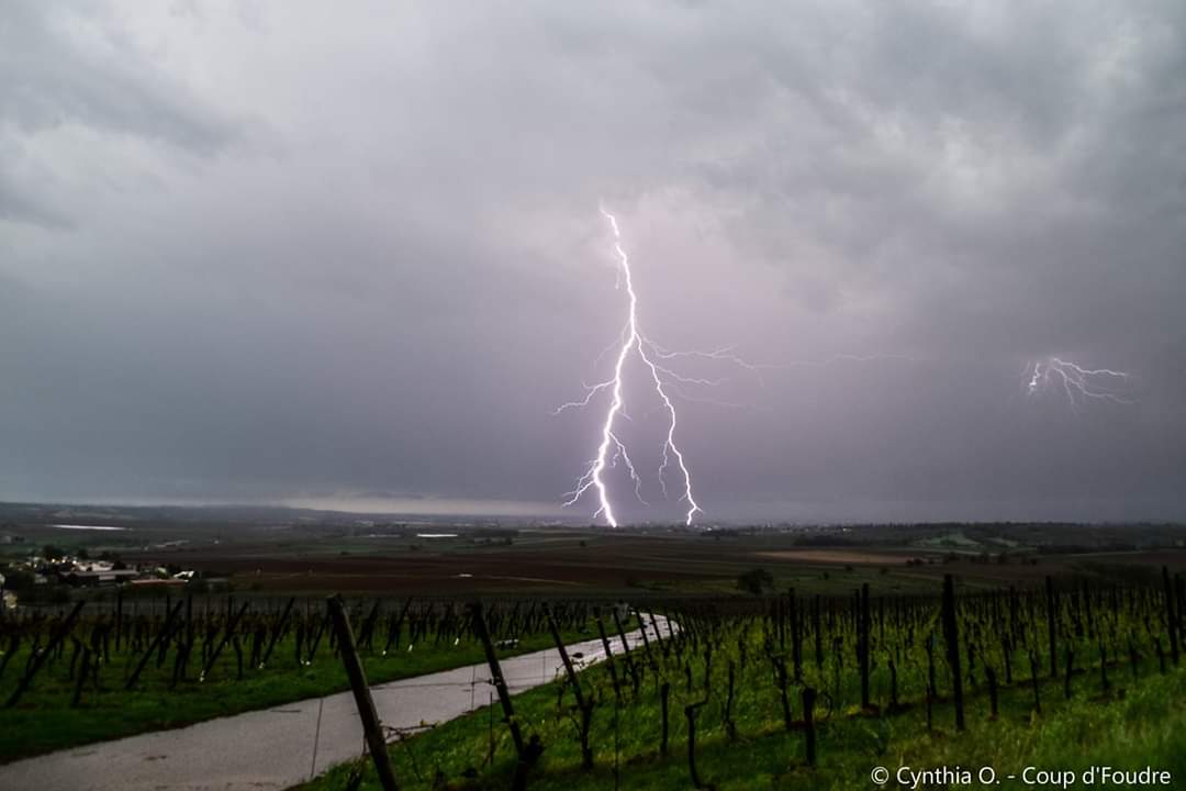Premiers orages de la saison cet après midi en Alsace, dans les vignes à Scharrachbergheim plus précisément. - 24/04/2019 17:30 - Cynthia Orditz