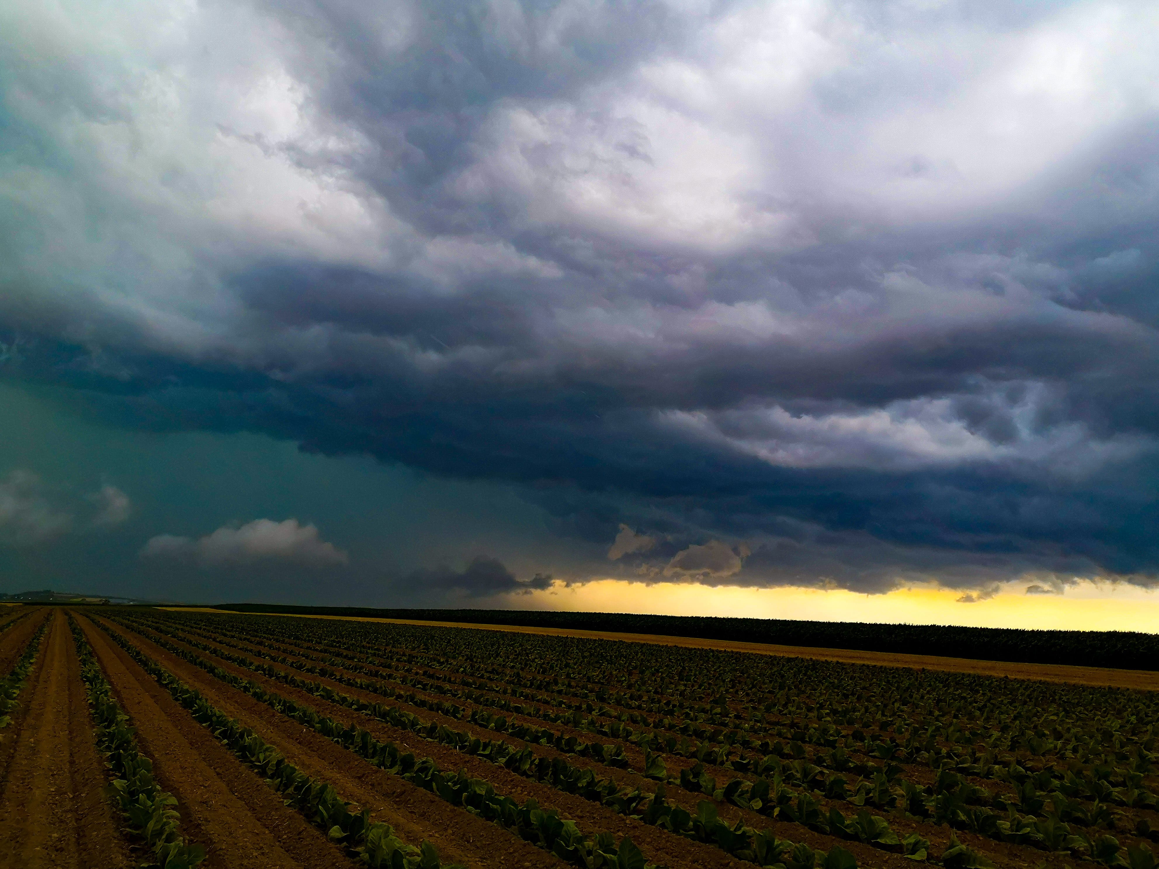 Cellule ultra dynamique d'un système multicellulaire qui file vers le Nord, avec de très fortes précipitations et rafales de vents convective. - 26/06/2020 16:25 - Nicolas Ohl