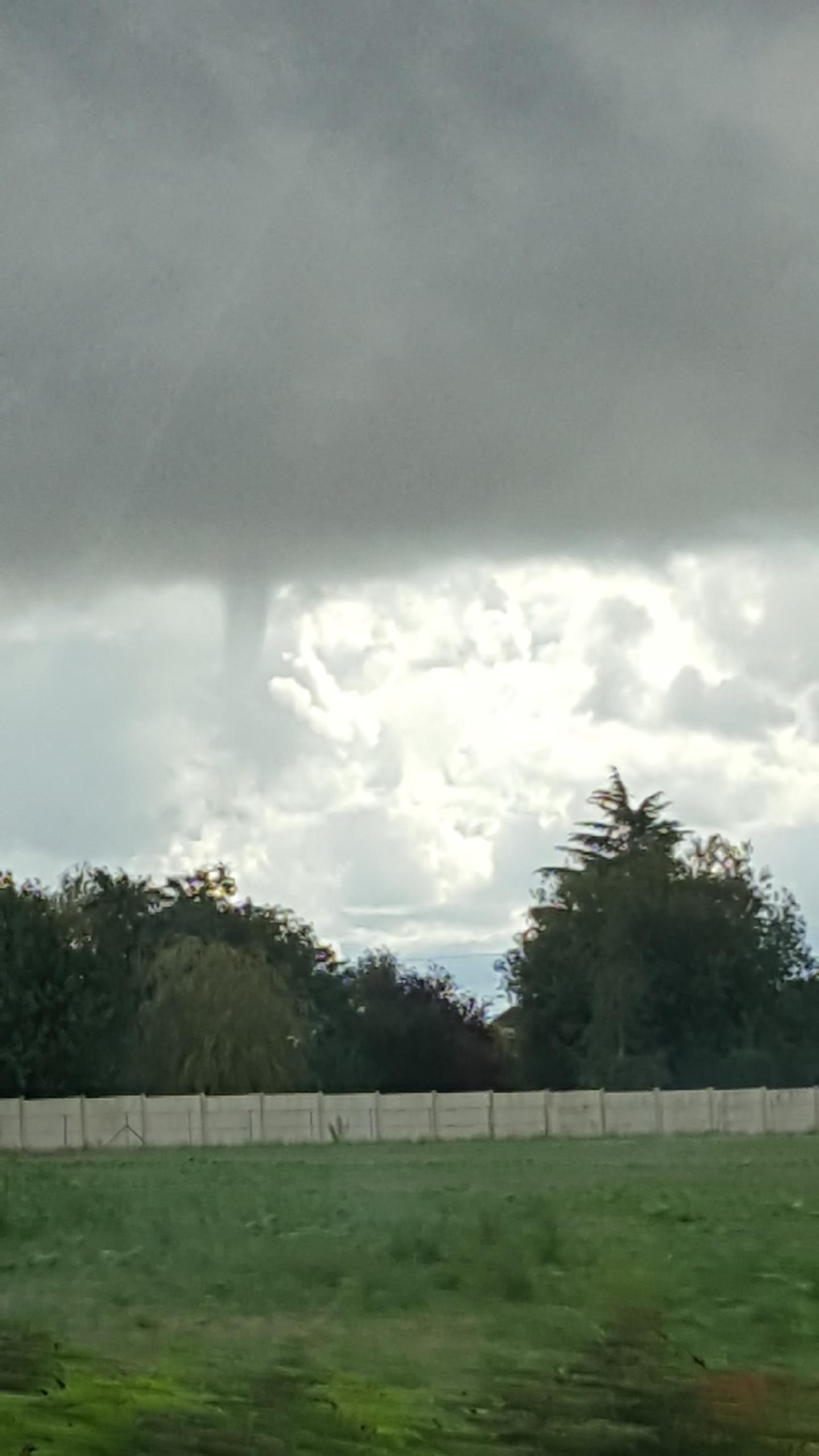 Tuba ? Photos prises par un téléphone entre La Couture-Boussey (27) et Ivry-La-Bataille (27) à bord d'une voiture en mouvement (ce qui explique la médiocre qualité photo). - 16/09/2017 12:15 - Damien Tortuel