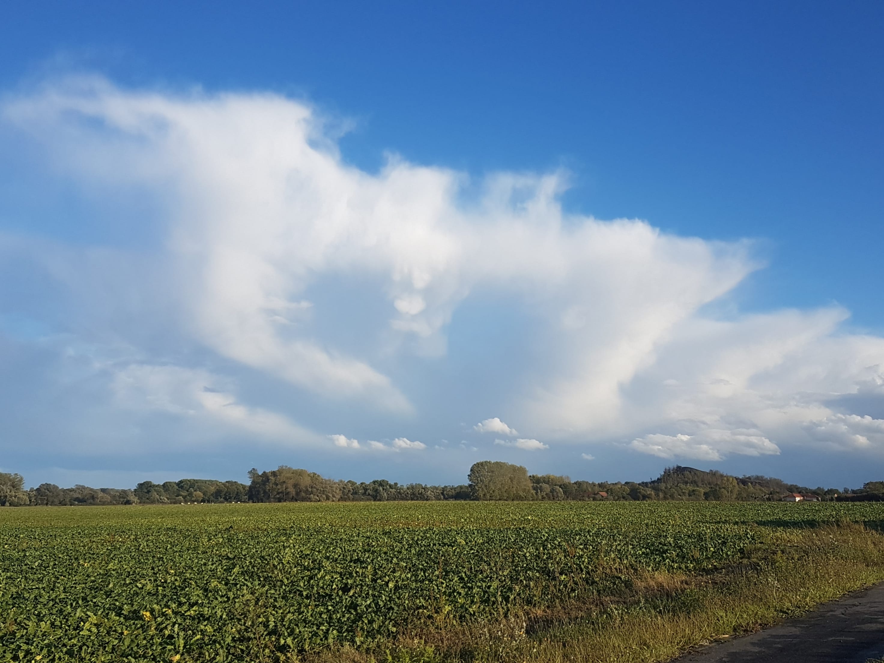 Petite structure de masse d'air froide en cours de dissipation, avec quelques mammatus, près de Valenciennes - 01/10/2020 18:00 - Cyril Dubos