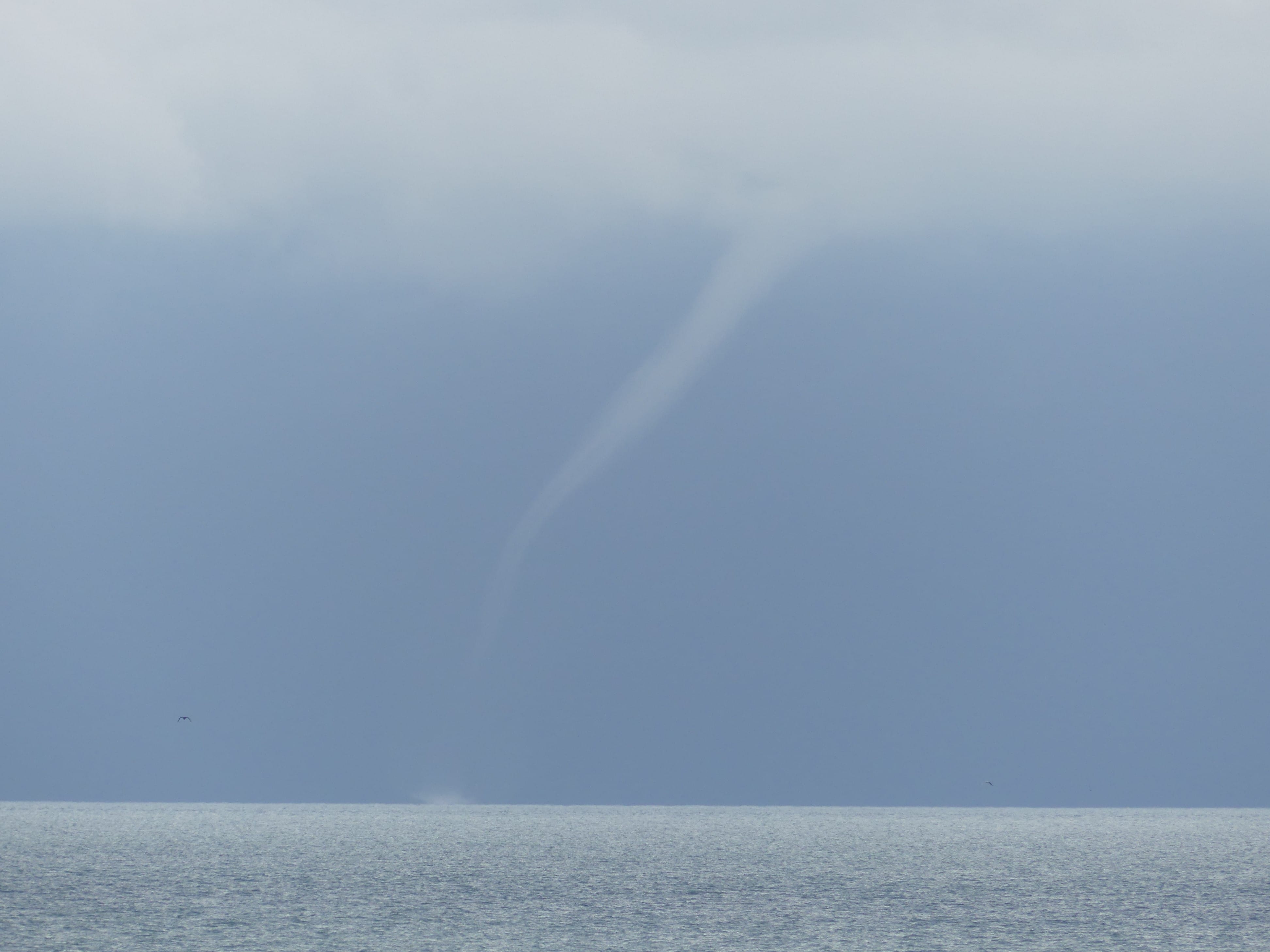 Plusieurs tubas observés ce matin au large du littoral entre Dunkerque et Coxyde (Be). Plusieurs d'entre eux ont donné des trombes qui avaient une durée de vie d'environ 5 minutes.
Ici vu depuis Bray-Dunes. - 03/08/2020 10:45 - Sami DESREUMAUX