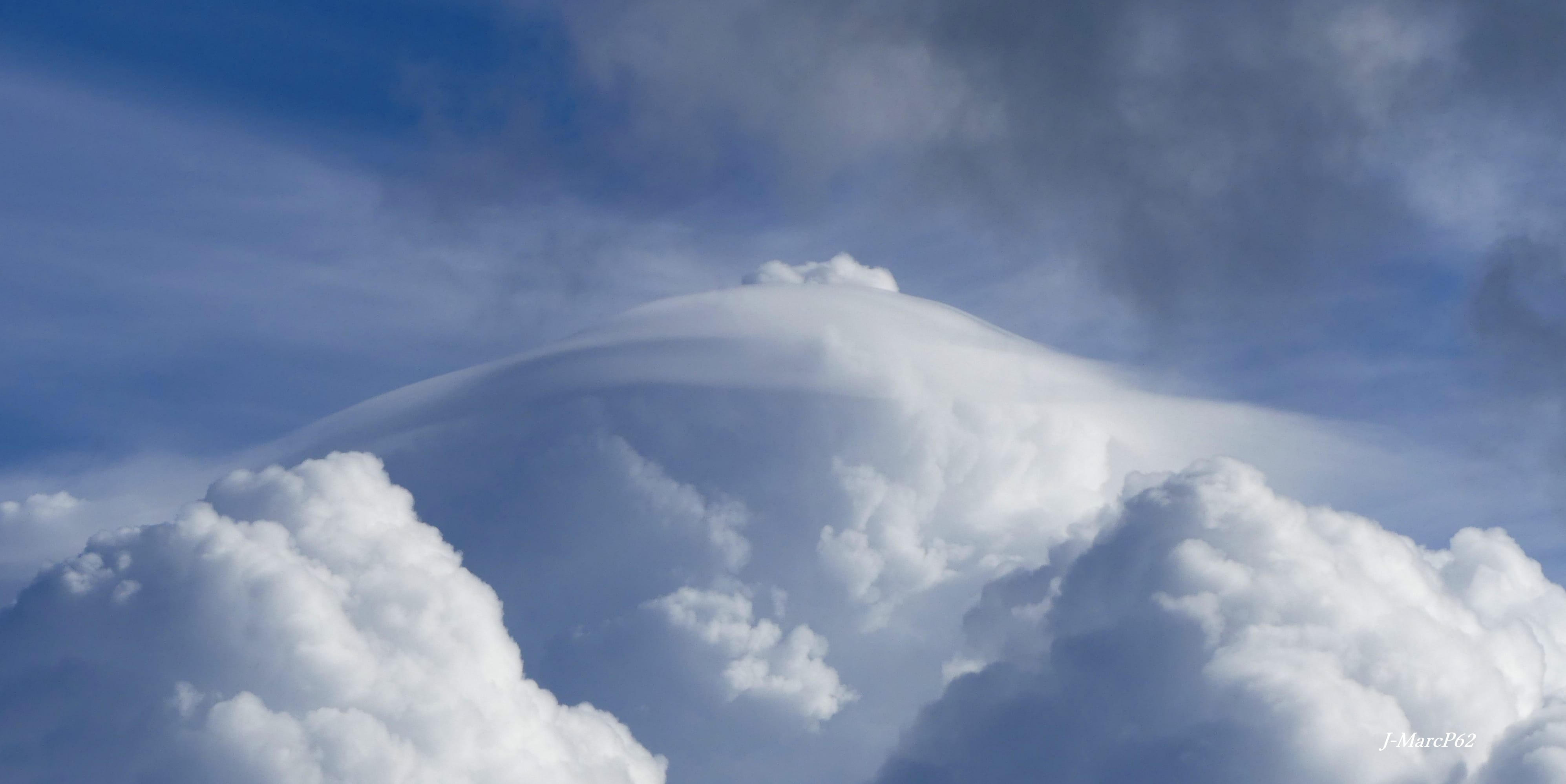 Pileus coiffant un cumulus - 05/10/2020 15:32 - jean-marc pourcelet