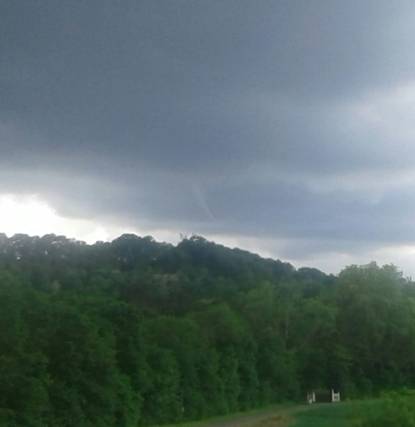 Tuba observé sur le Sud de Soissons 02
tuba plus développé avant que je ne prenne la photo - 10/05/2020 17:00 - DAVID DUMONT