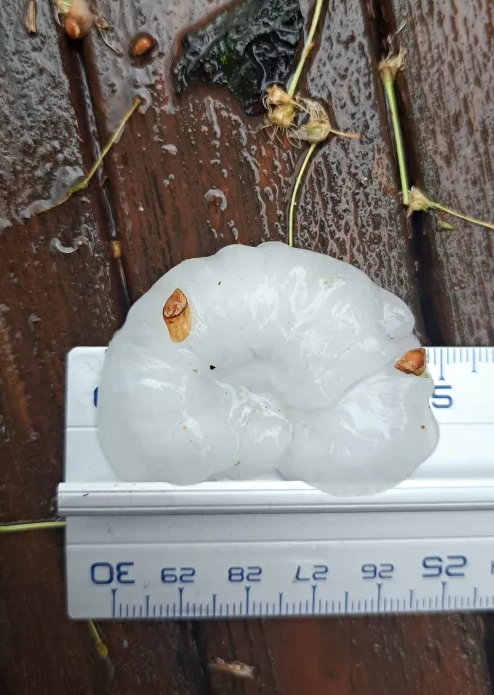 Grêlons de 5cm à bry-sur-marne (94) - 03/05/2025 17:00 -  @BDV_METEO