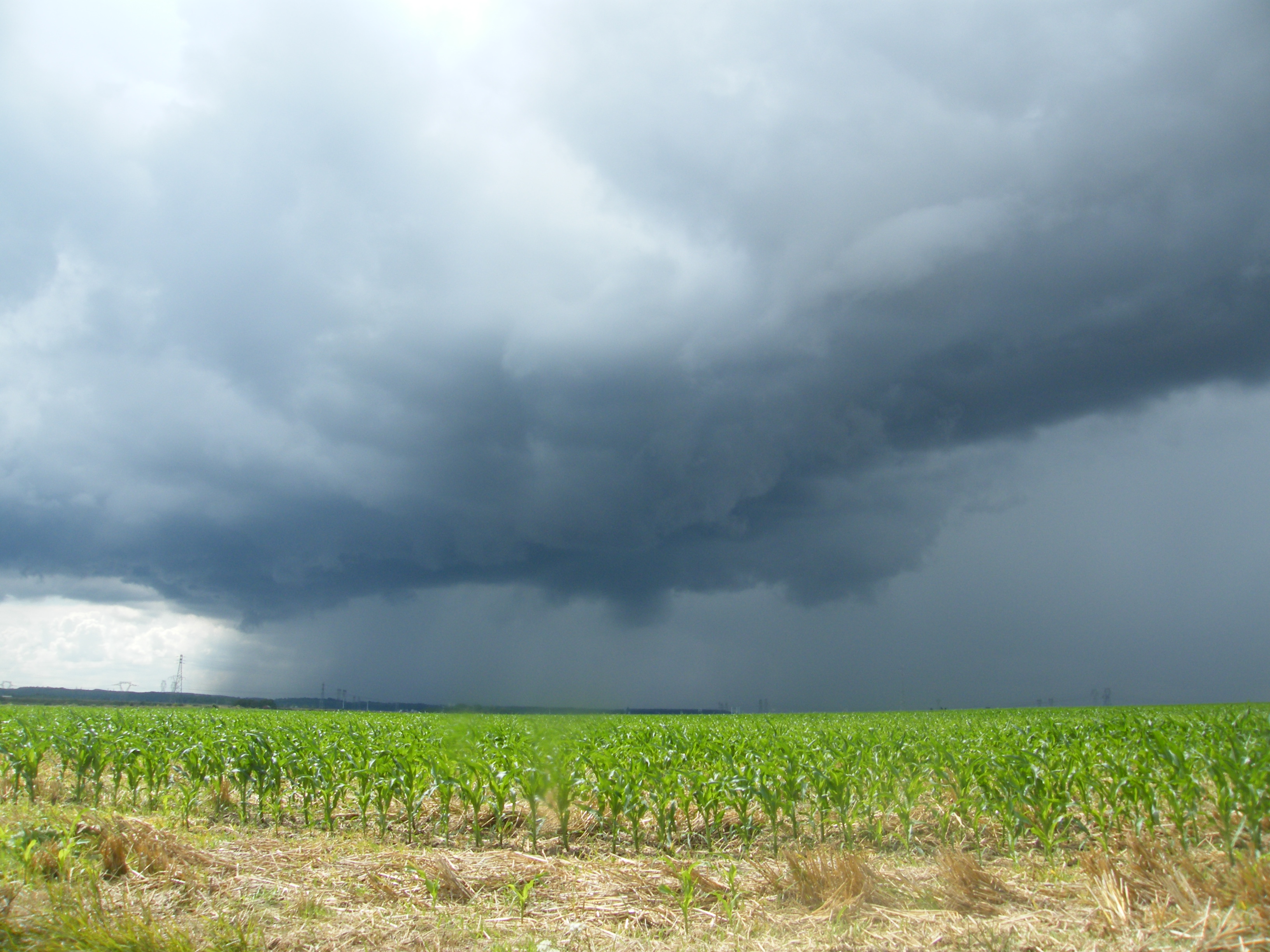 Ambiance orageuse en Seine et Marne - 04/08/2023 12:55 -  PREVISIORAGE