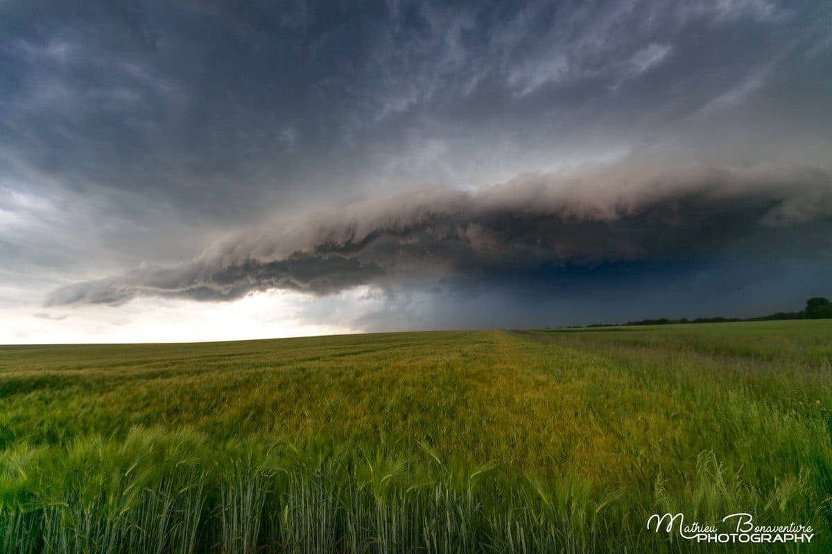 Impressionnant arcus dans le 77 et 51. - 04/06/2019 18:00 - Mathieu BONAVENTURE