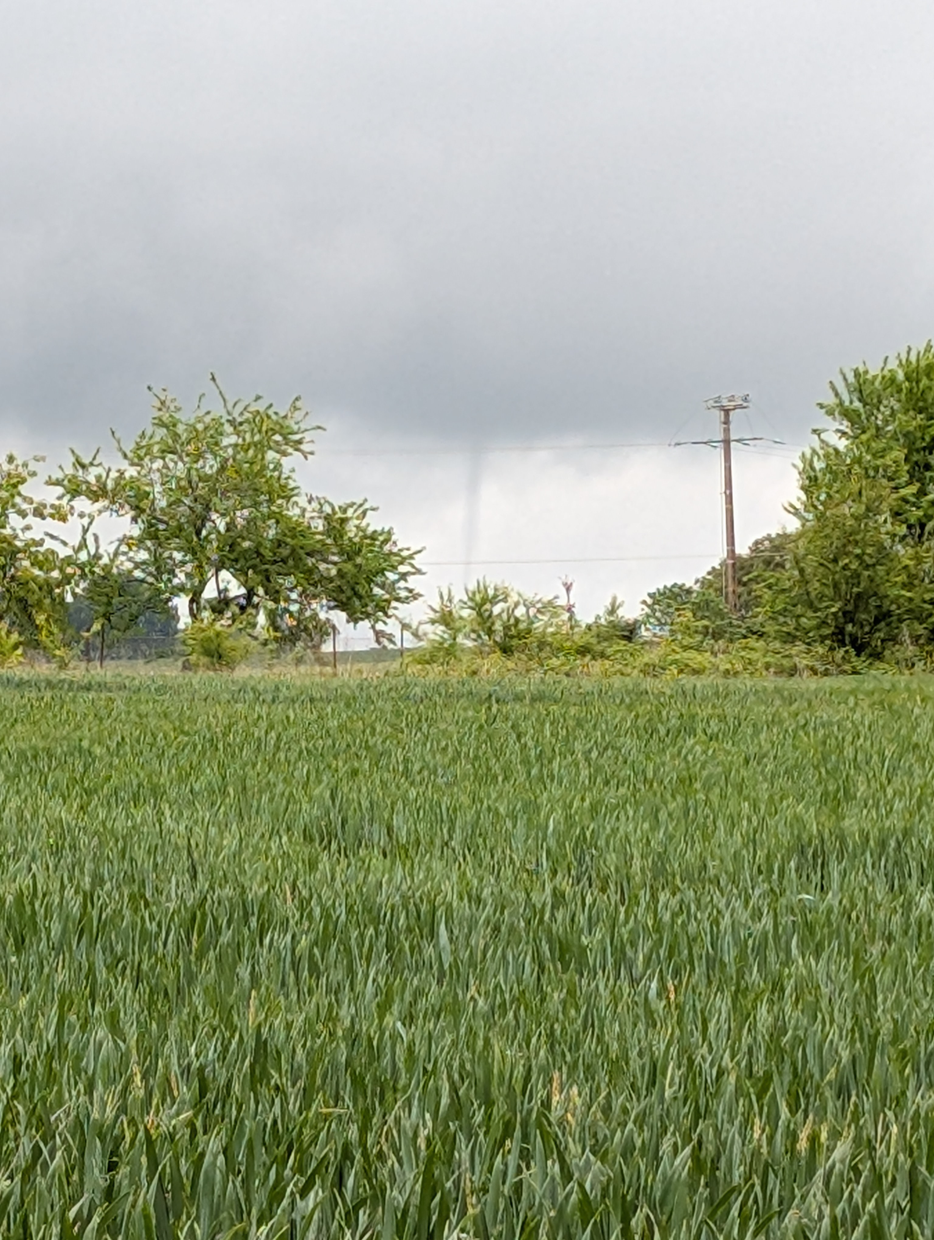 Phénomène observé cette après-midi vers 16h35 en Seine-et-Marne, depuis la commune de Soisy-Bouy. S'agit-il d'une tornade - 05/05/2026 16:35 - Sabrina Fajardo