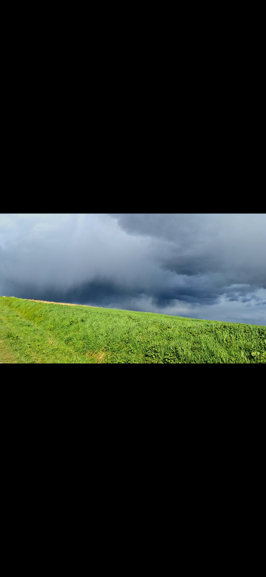 Belle petite monocellule au alentours de messy - 14/03/2026 15:45 - Selyan Adar