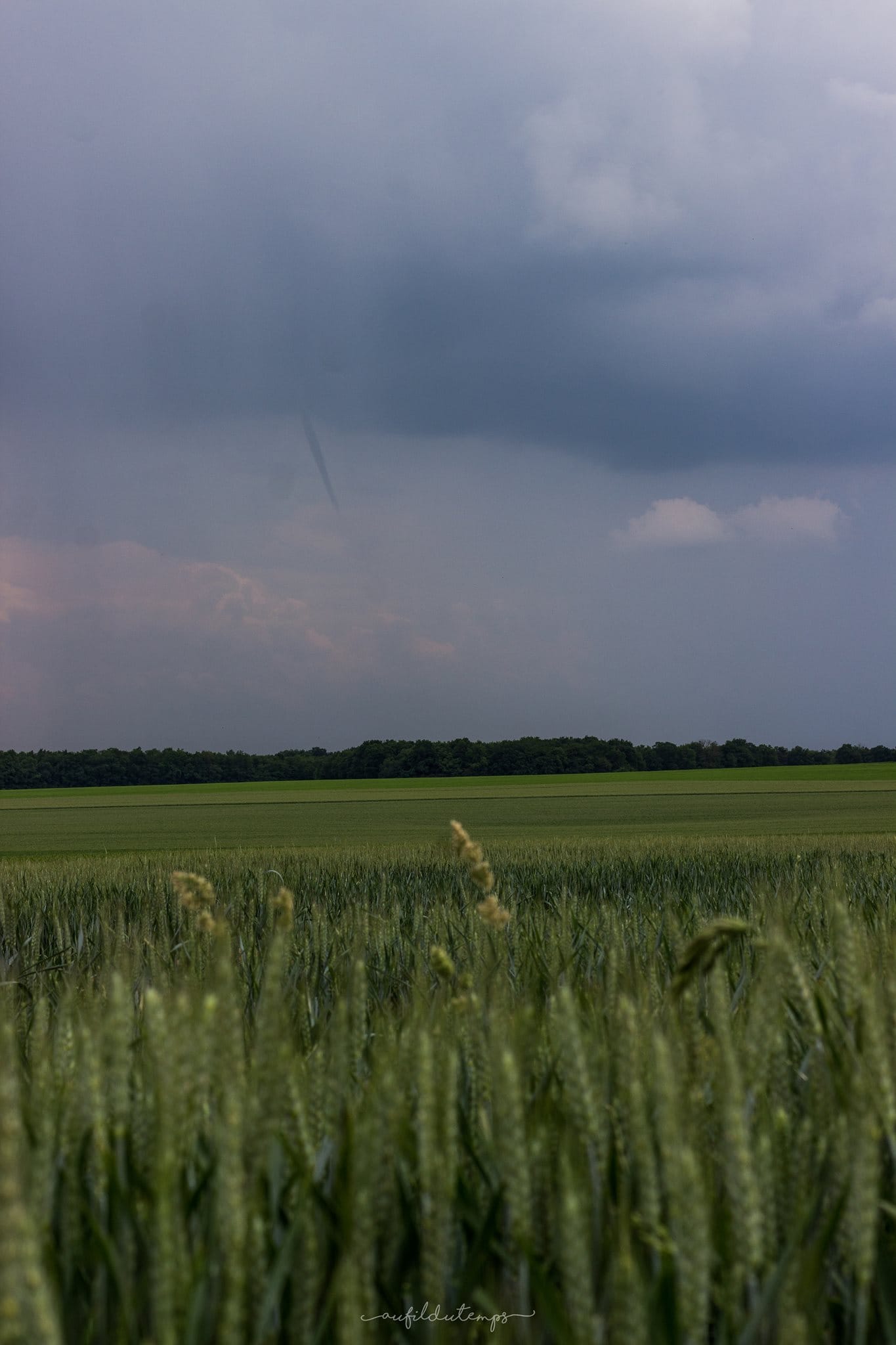 Observation de deux tubas simultanés (dont celui ci) le 22 mai entre Tousson (77) et Malesherbes (45). - 22/05/2018 17:00 - Au Fil du Temps