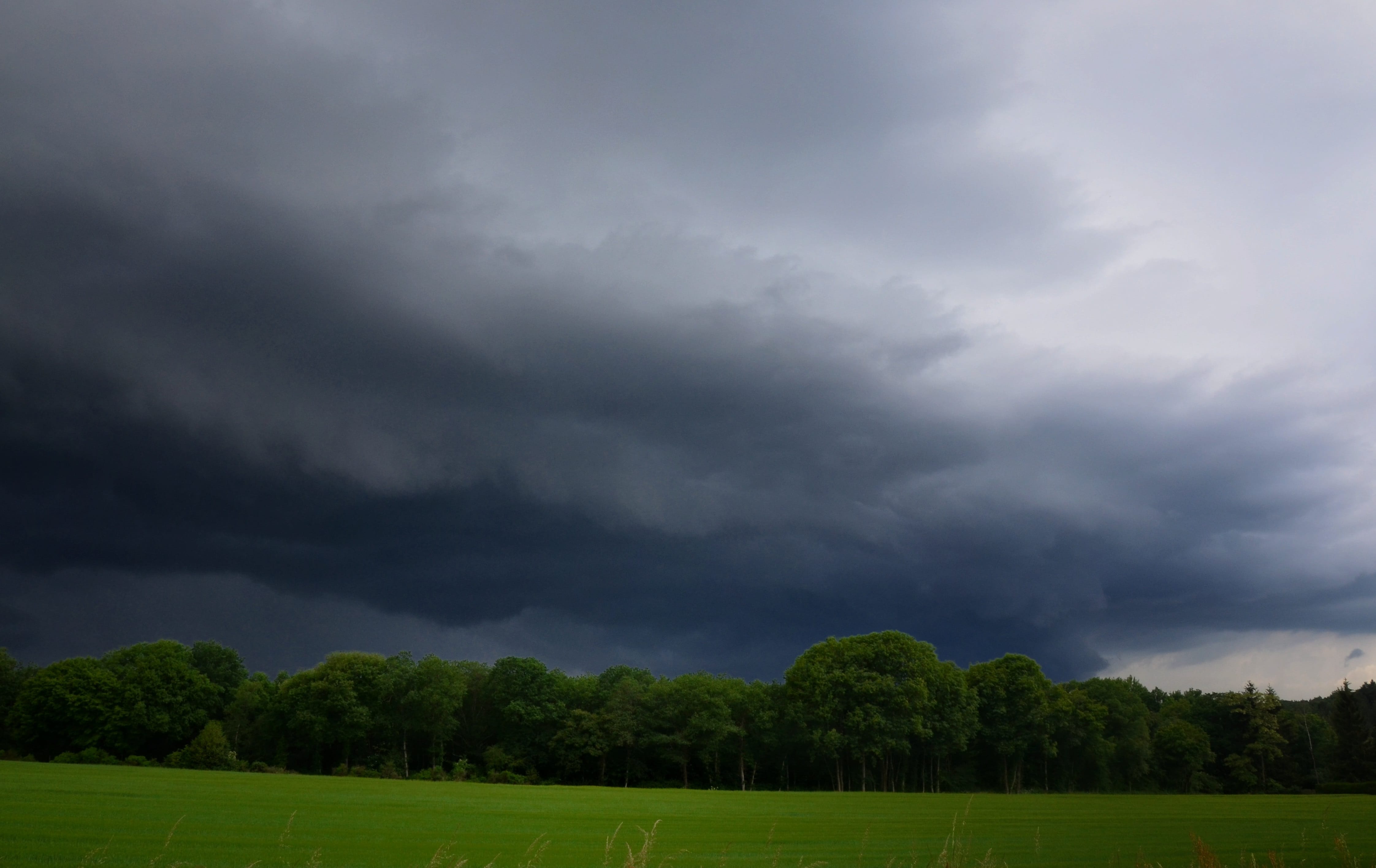 Arcus à l'avant d'un gros orage. Poigny la Forêt (78) - 3 - 29/05/2018 19:10 - Pierre Renaudin