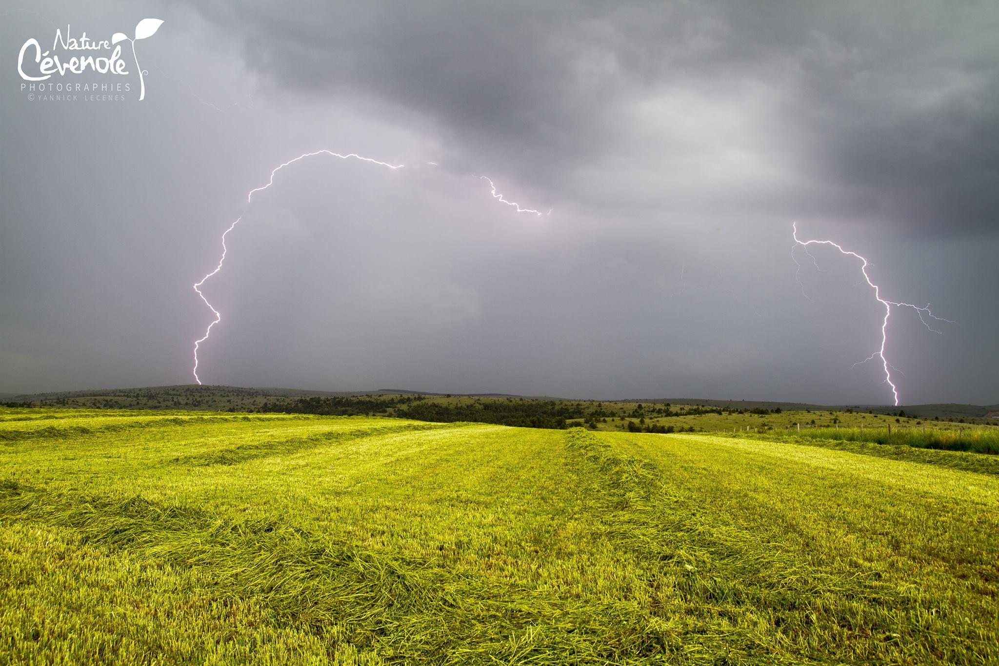 Orage sur le Causse de Sauveterre en Lozère. - 01/06/2017 15:00 - Yannick LECENES