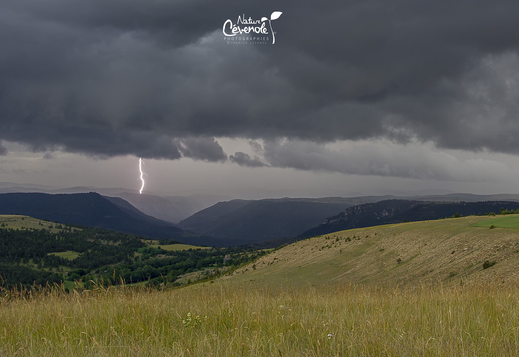 Coup de foudre sur la Lozère. - 28/06/2017 18:00 - Yannick LECENES