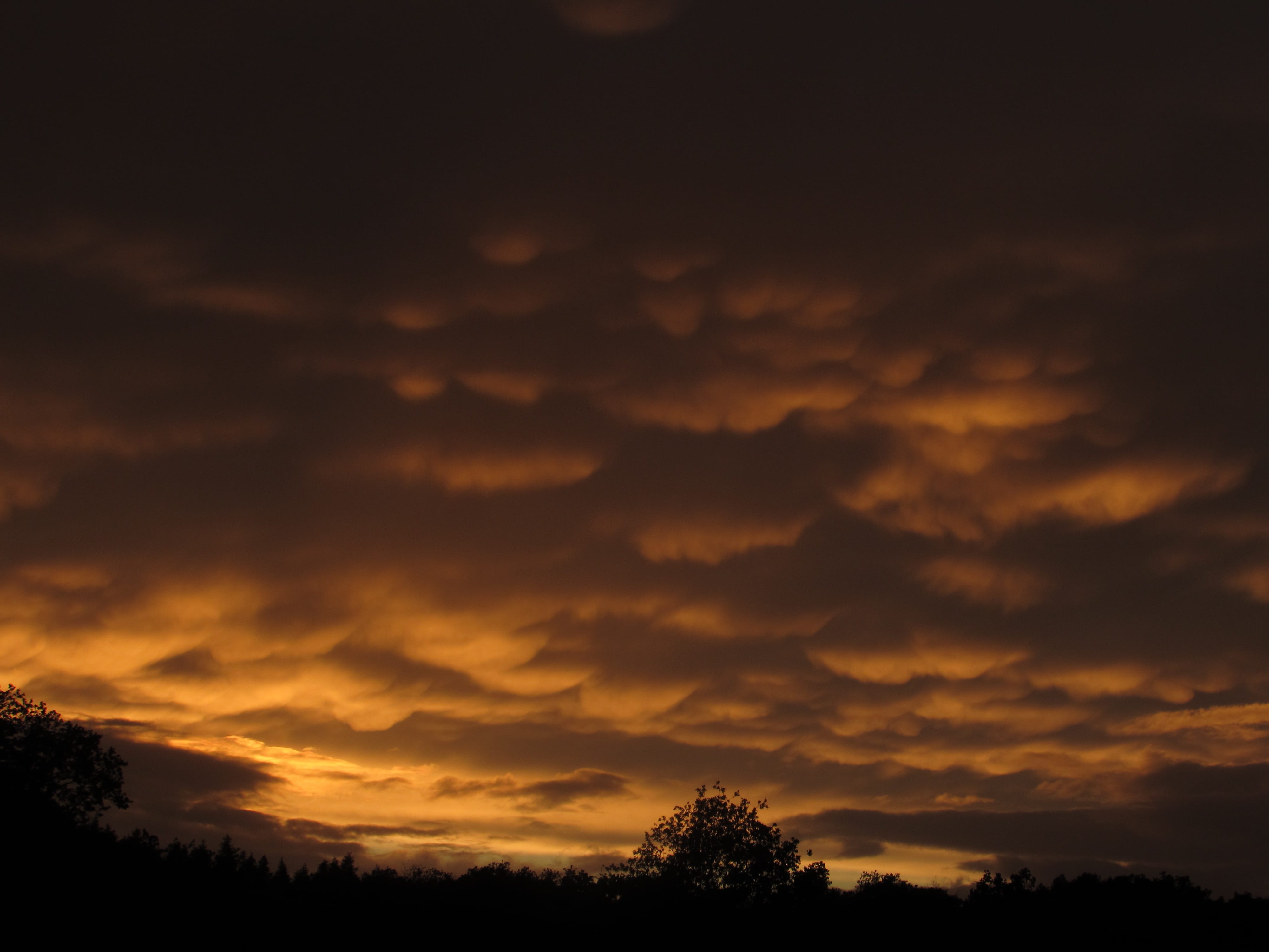 Un beau plafond de Mammatus après l'orage. - 30/04/2017 20:30 - Tom Geoffre