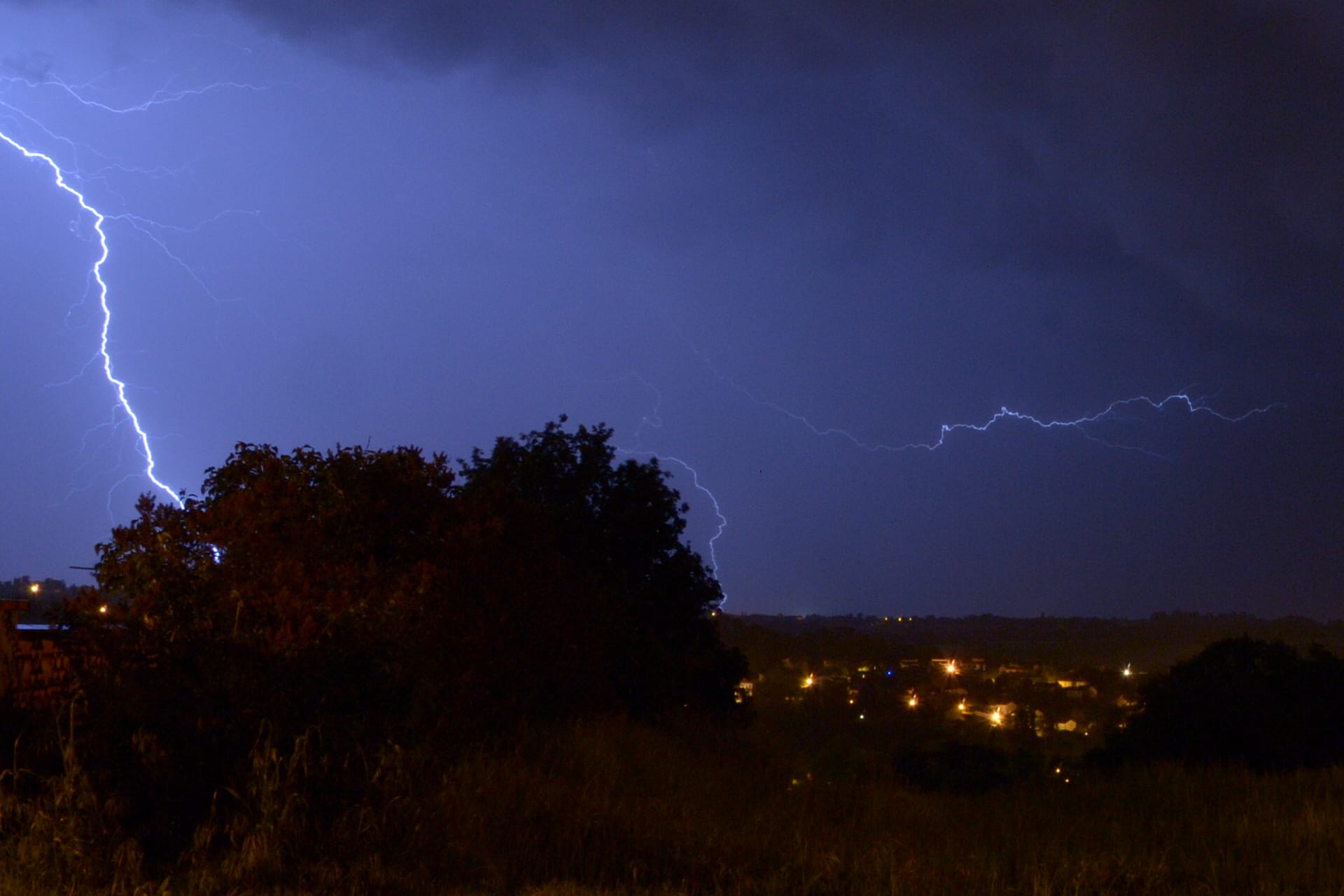 Monocellule sur le frontonais, Haute-Garonne - 13/05/2017 02:00 - Andrea Betti