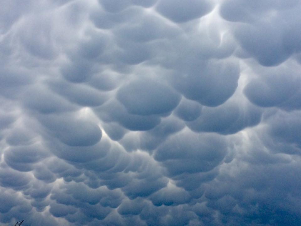 Mammatus observés près de Lens (59). - 06/07/2017 20:00 - Isabelle RIO