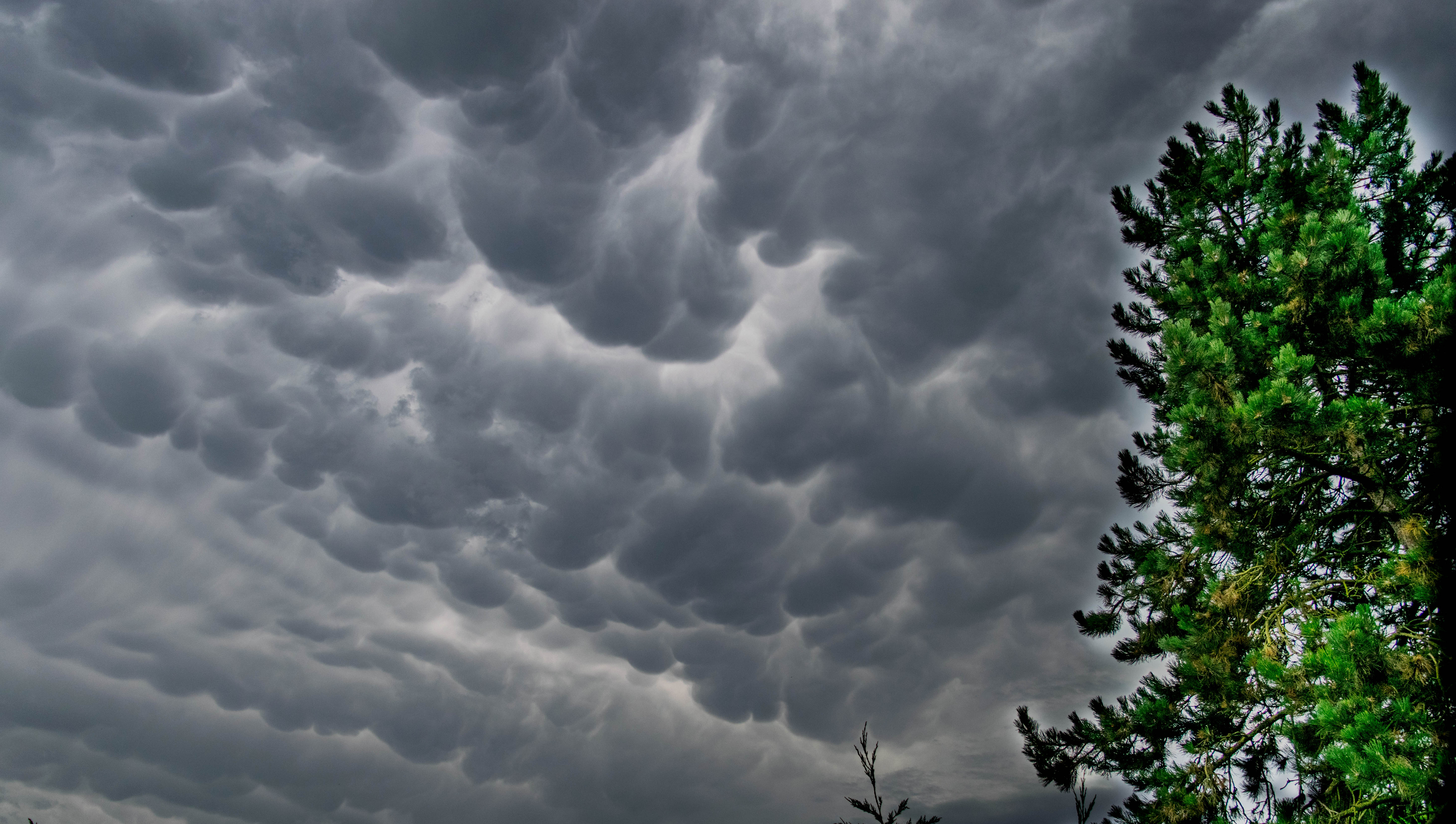 Mammatus dans les Hauts-de-France. - 06/07/2017 19:15 - Aurélien Deruyffelaere