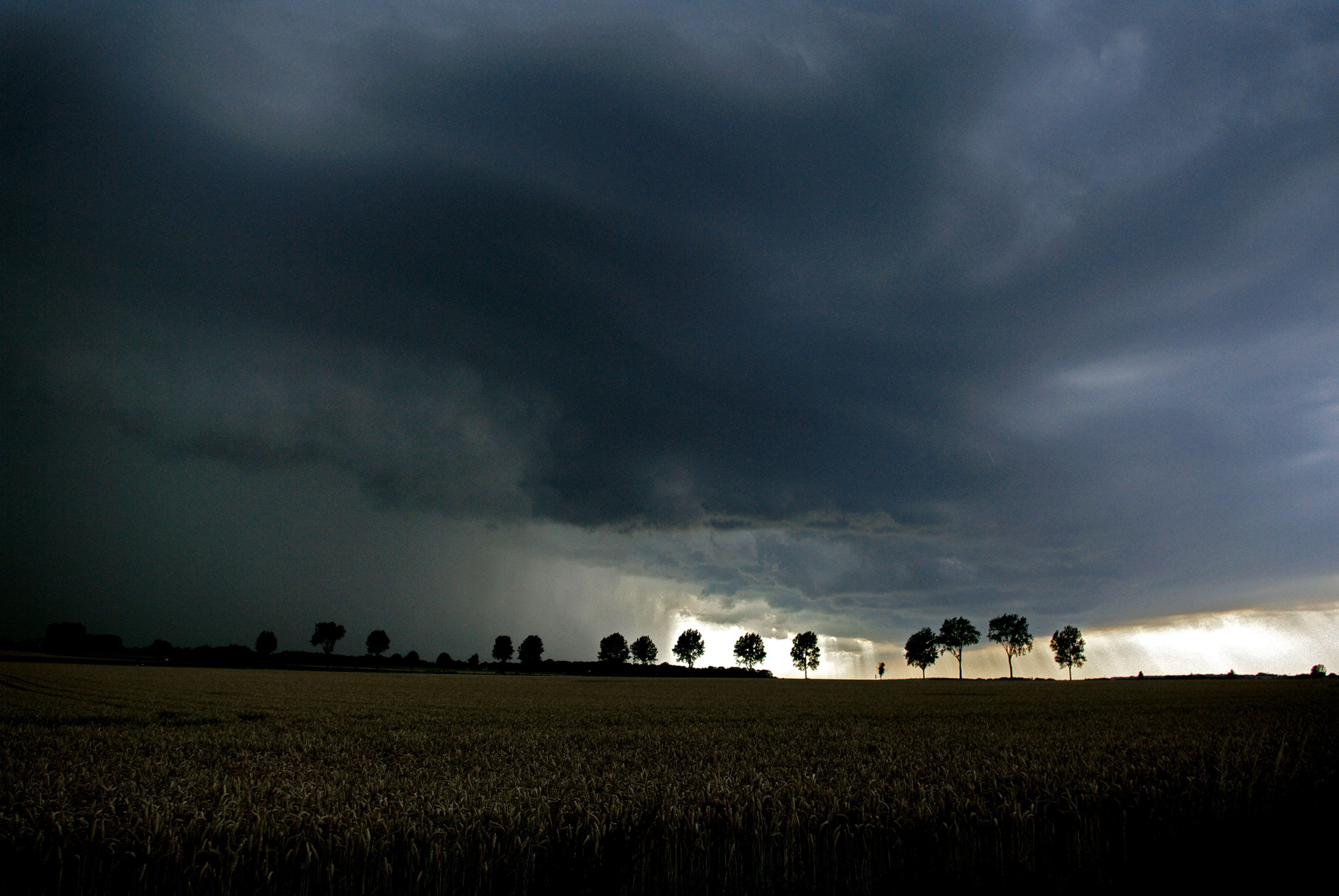 Arrivée de la supercellule orageuse dans l'Audomarois (62) avec l'arcus bien visible sur la gauche, ainsi que les grosses précipitations de pluie et de grêle qui s'en suivent. - 06/07/2017 18:00 - Kévin Dubois
