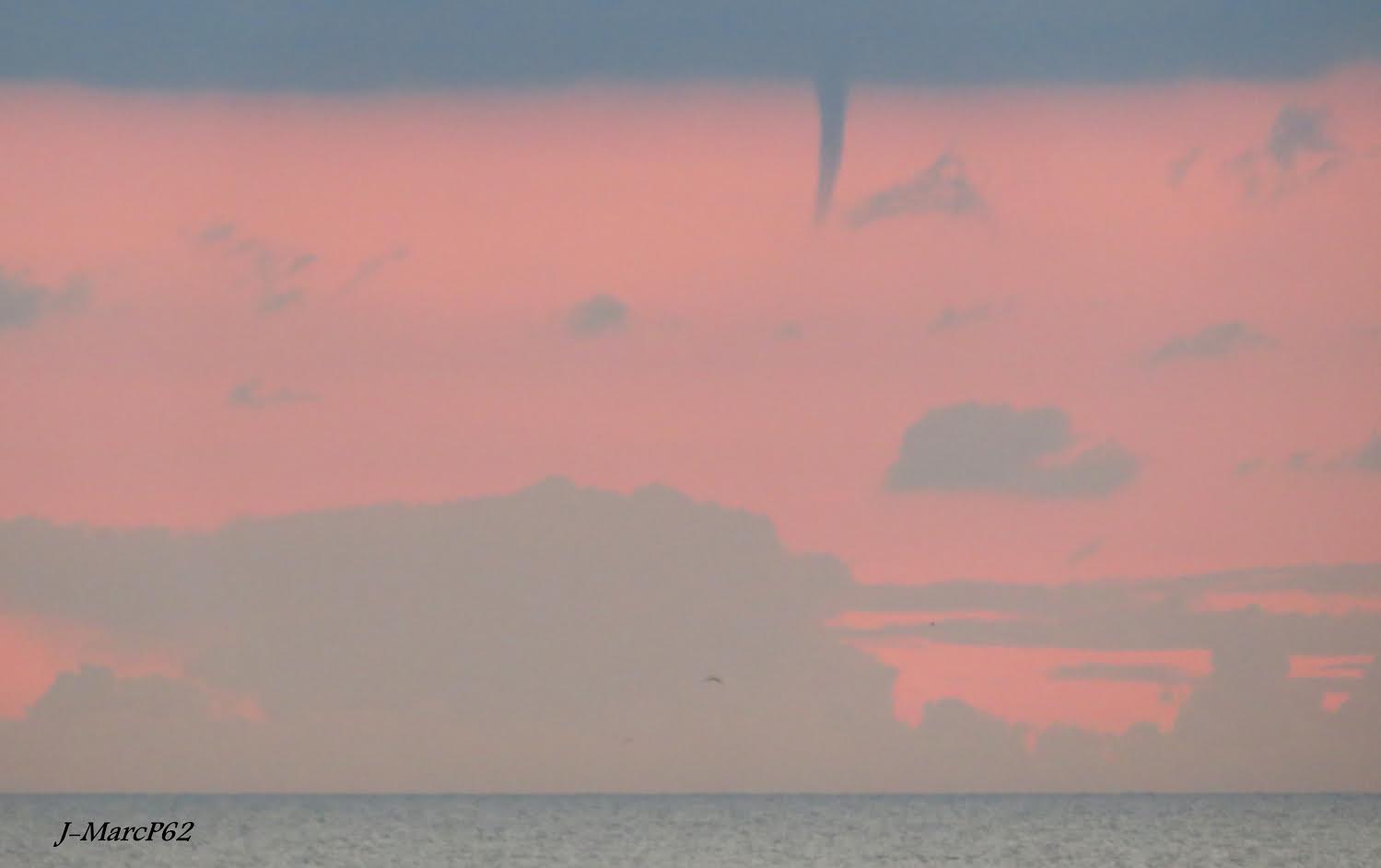 Tuba observé en soirée au large de Berck (Pas-de-Calais). - 09/10/2016 21:25 - Jean-Marc POURCELET