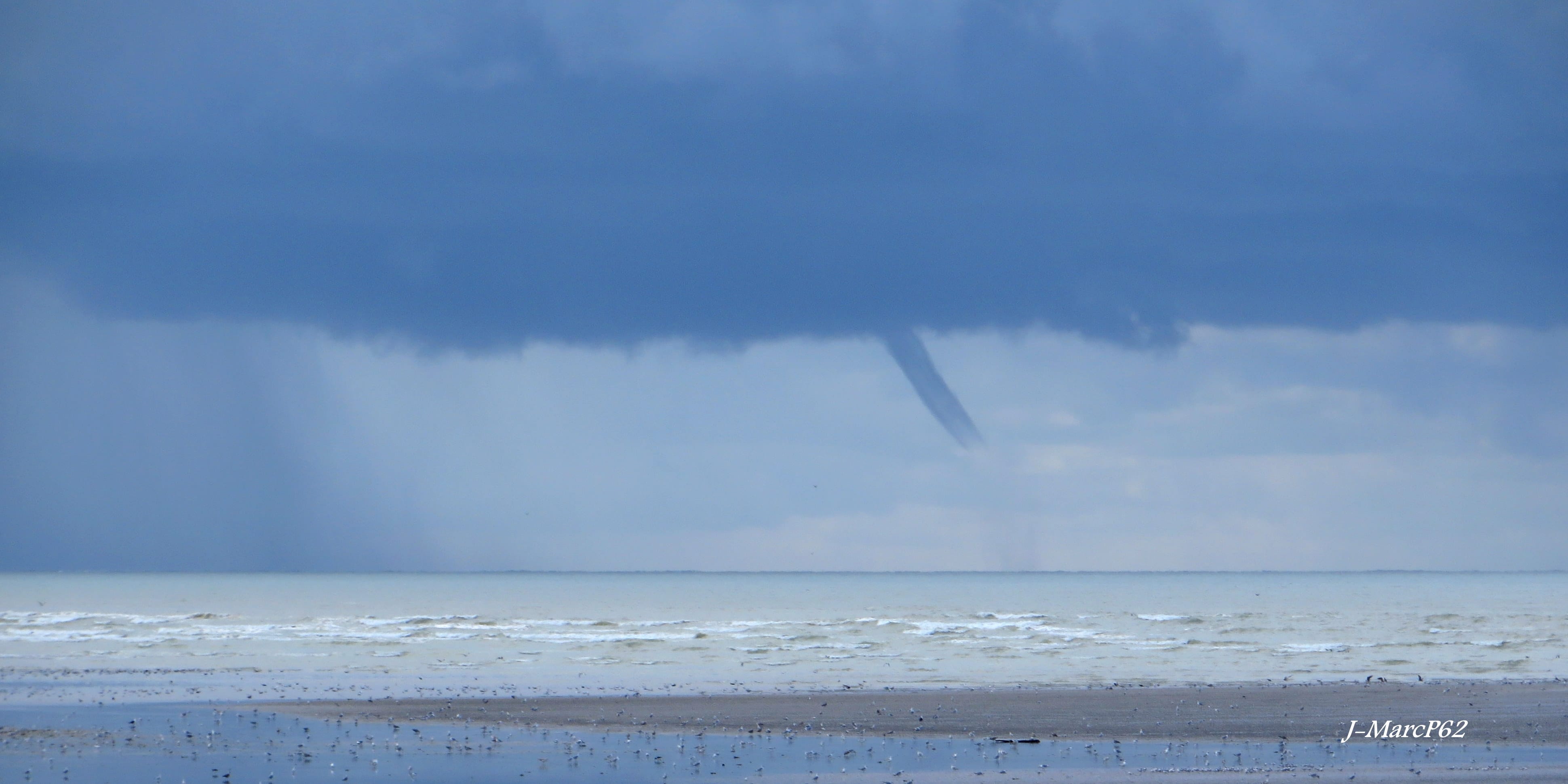 Tuba bien développé mais assez bref avec buisson en baie d'authie au large de Berck-Plage - 15/09/2017 12:39 - jean-marc pourcelet