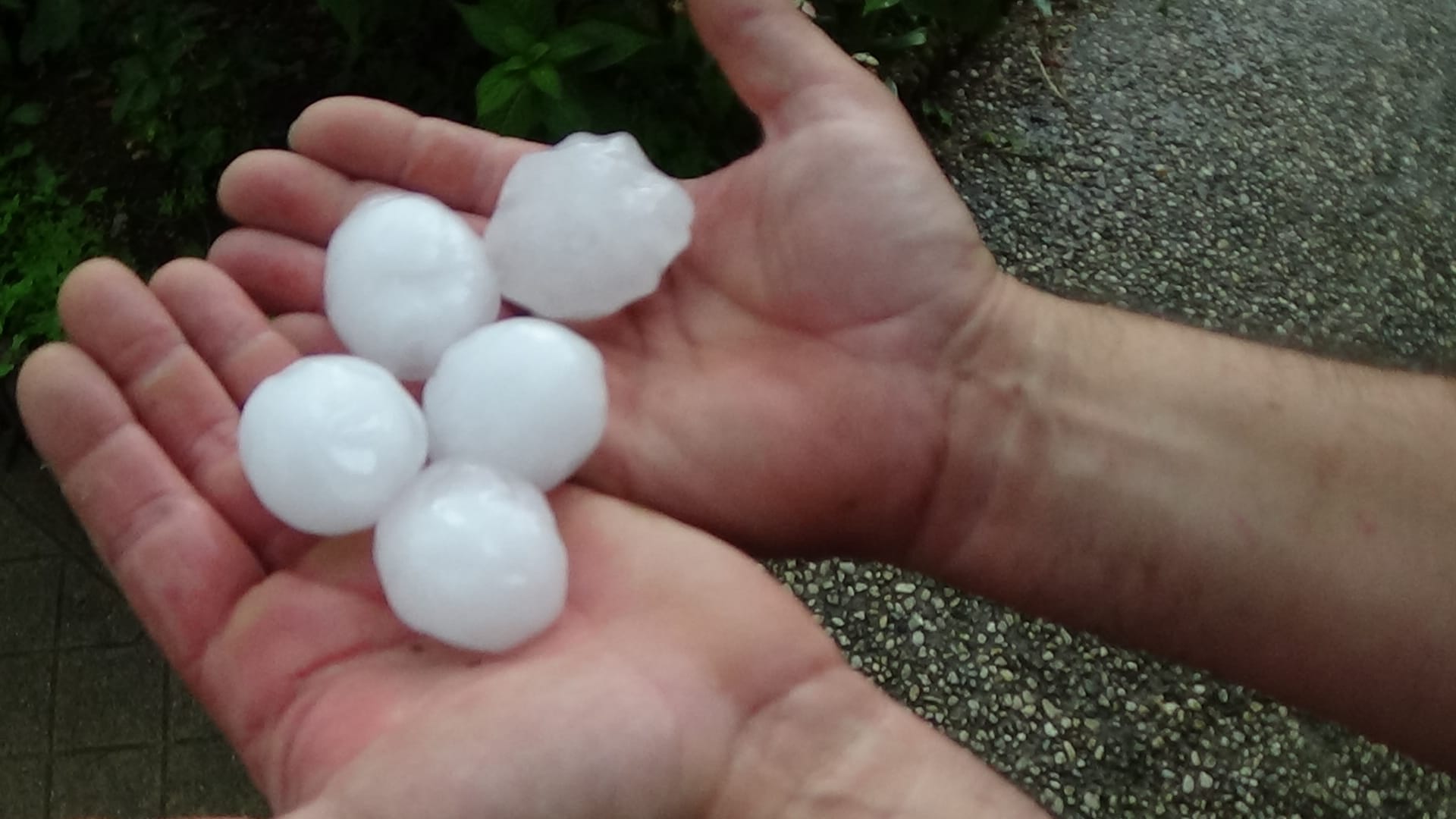 Grélons de diamètre de 4 à 5cm tombé durant le passage d'une petite supercellule à Gacé (61) le 7 août 2018 vers 18h30, nombreux dégats sur toiture et voitures dans la ville. - 07/08/2018 18:30 - François Voyer