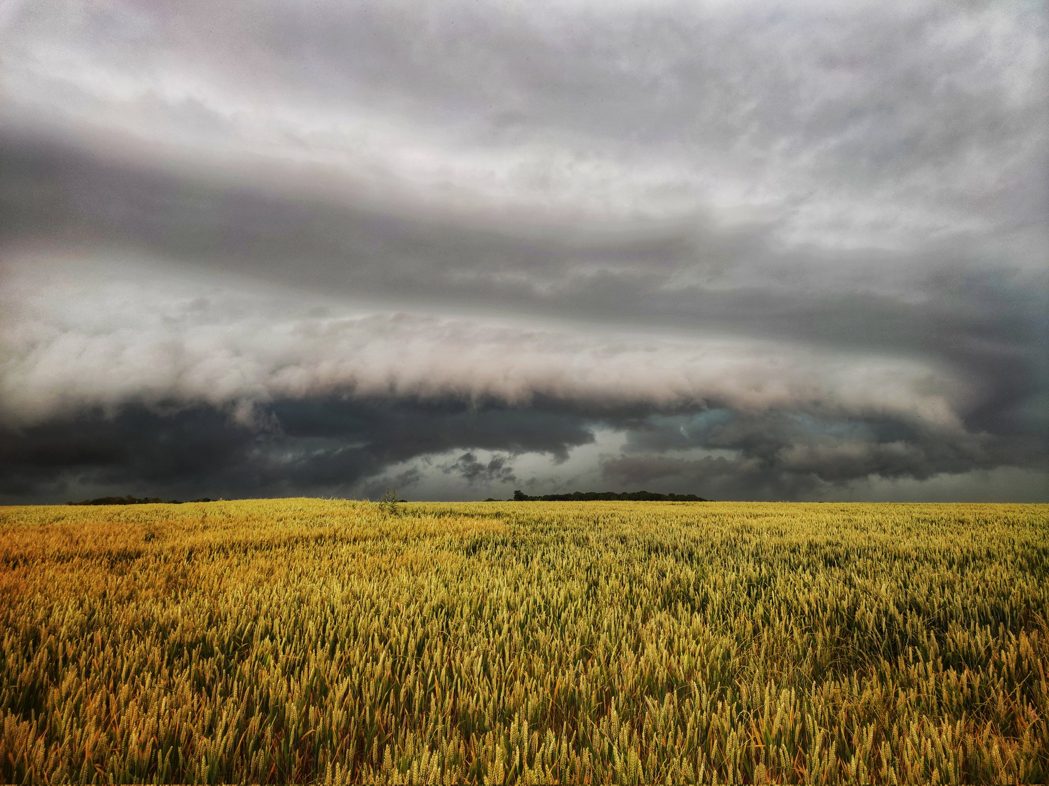 Journée enfin terminée. Et ben pour une première chasse au QLCS, je considère que c'est une belle réussite !
Une supercellule en premier temps en Seine-Maritime, et un arcus simplement époustouflant un peu plus tard à la frontière Seine-Maritime / Somme, devant le QLCS. - 18/06/2023 18:00 -  @LB_Doudou