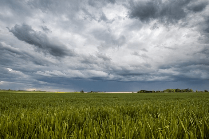 Arrivée du premier orage de la saison dans le nord de la Vienne ! - 30/11/-0001 00:00 -  @DG_Romain