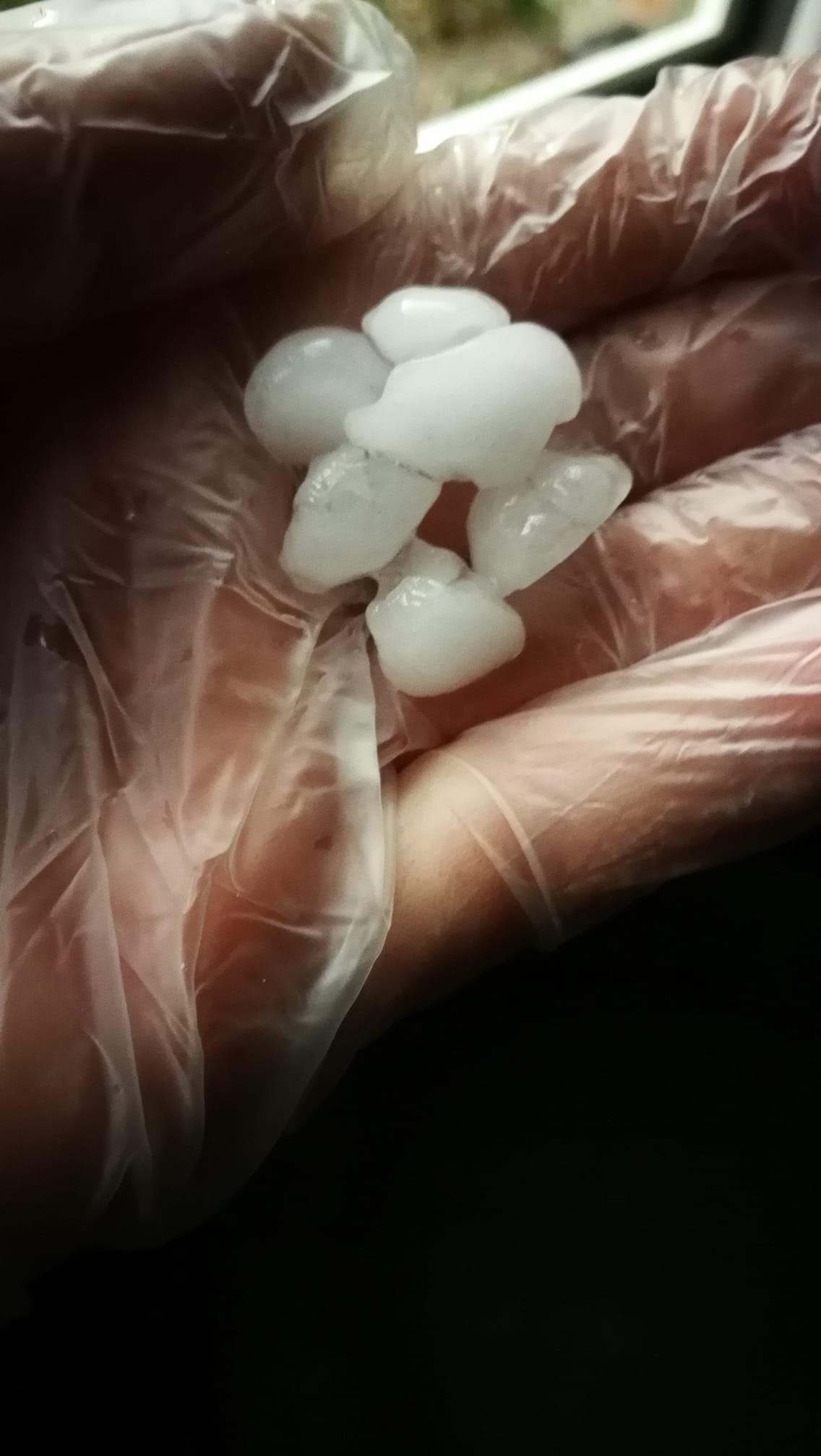 Grêlons de 3 cm sous un orage violent à Bessines-sur-Gartempe - 01/06/2020 15:00 - Agnès Audigier