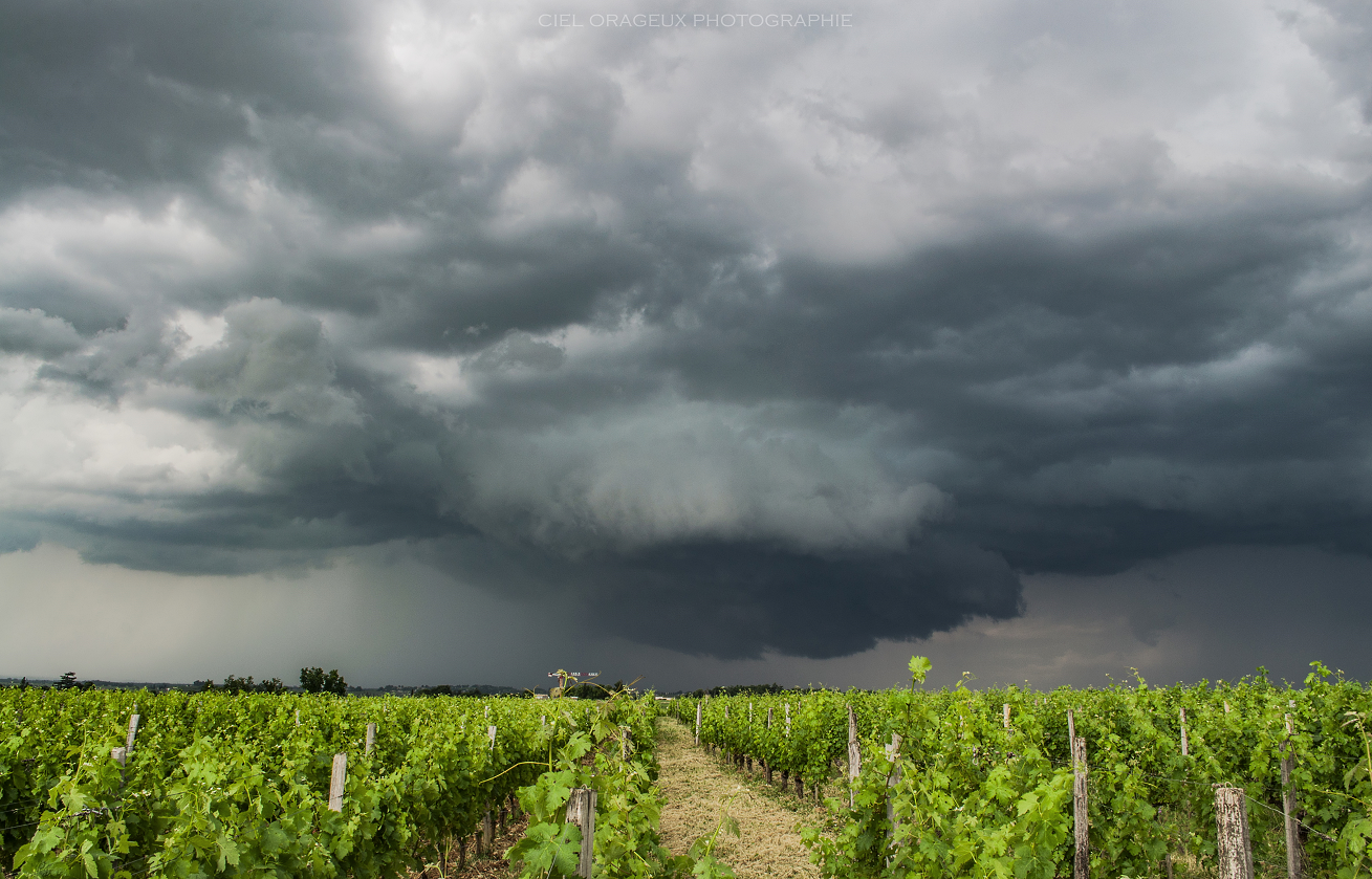 Supercellule près de Saint-Emilion (33) - 01/06/2020 17:50 - Ciel Orageux Photographie