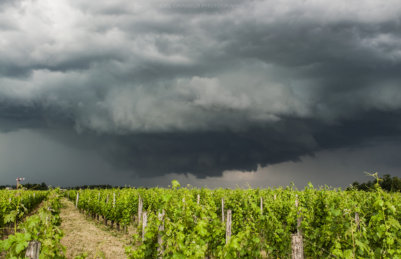 Supercellule accompagné de son petit tuba près de Saint-Emilion (33) - 01/06/2020 17:53 - Ciel Orageux Photographie