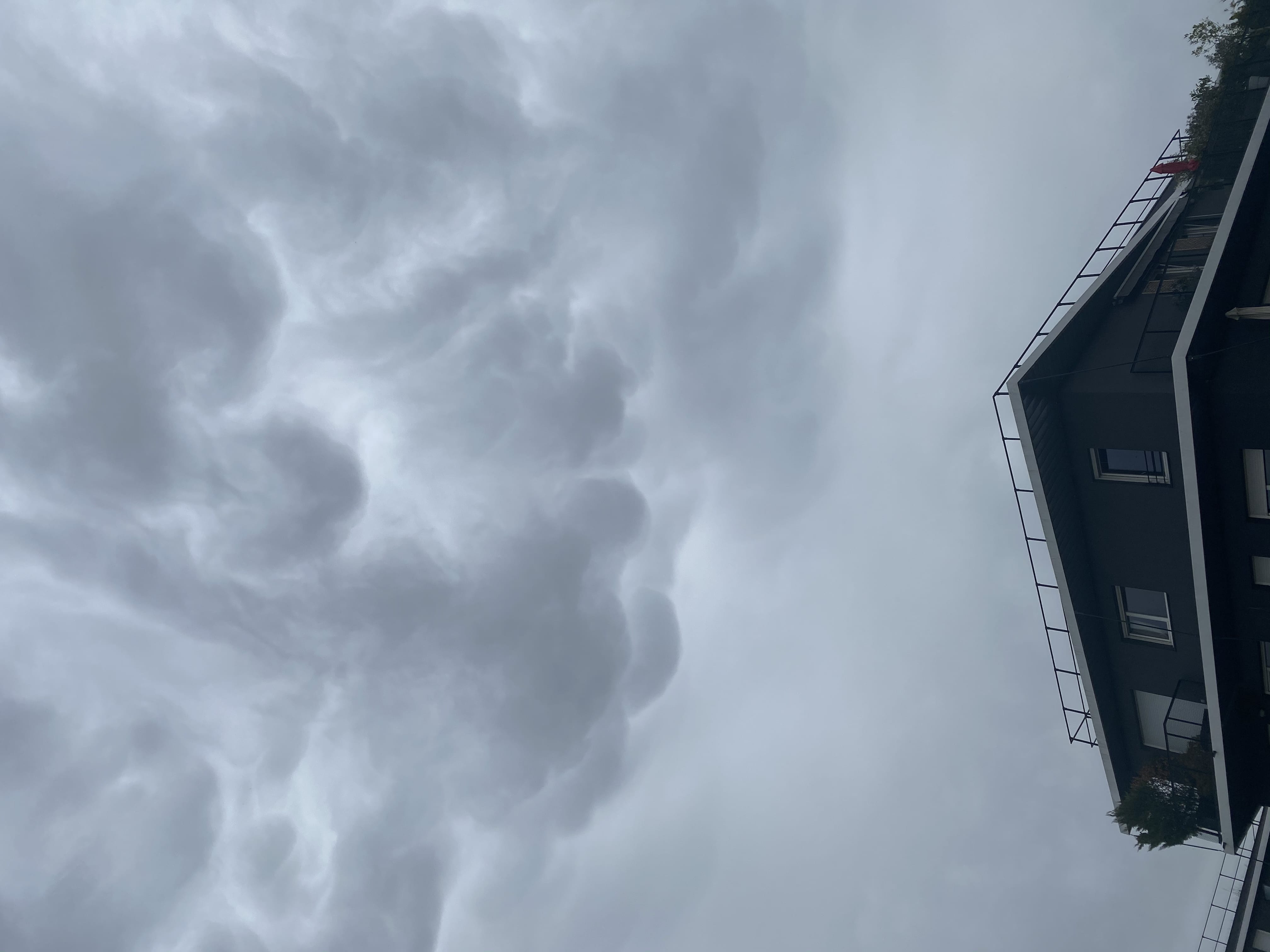 Mamatus sur Bordeaux - 04/05/2020 19:05 - Tony Dillon