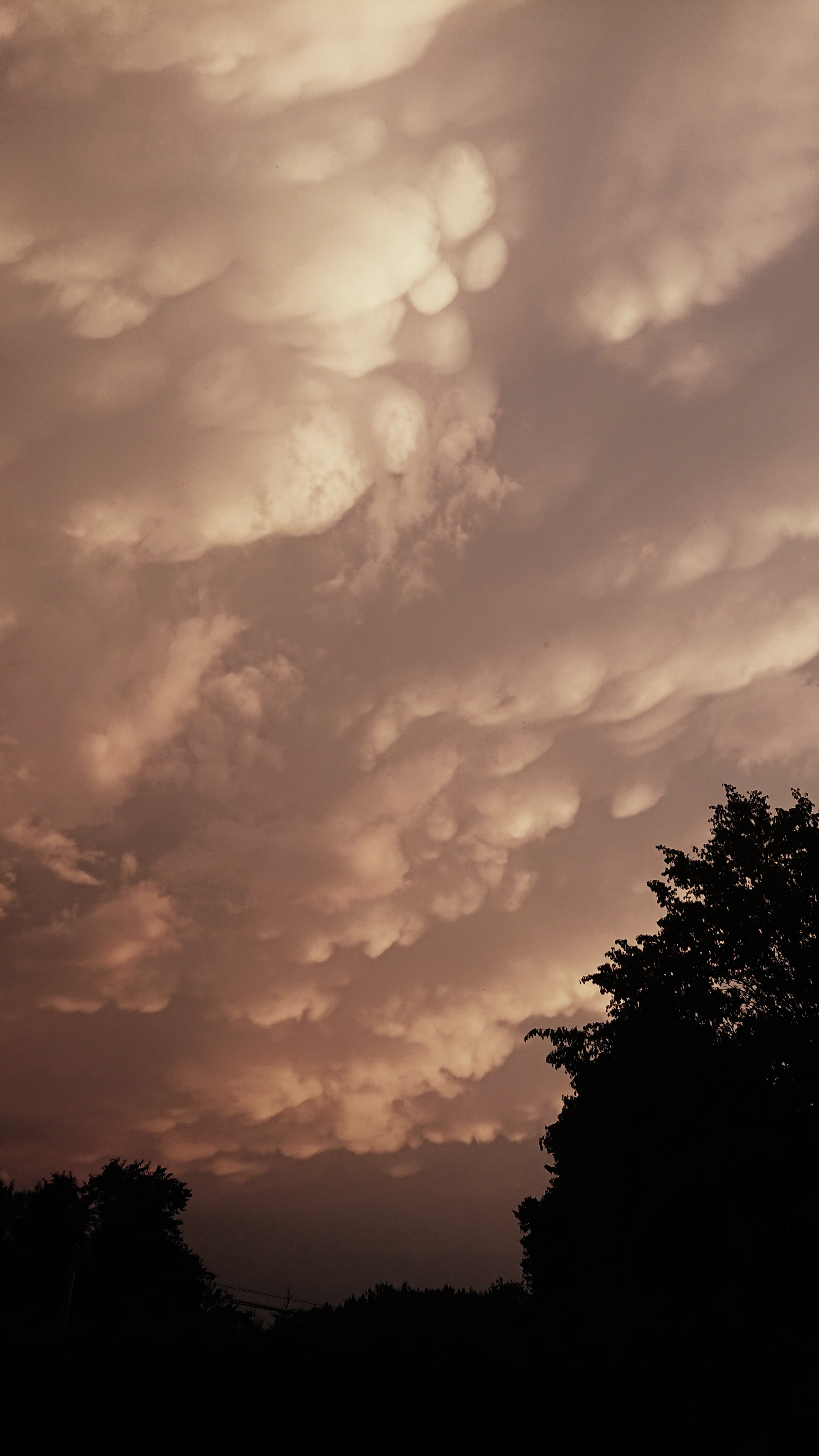 Mammatus à Saint-Geniès ce samedi 6 juillet, à 6h30 - 06/07/2019 06:30 - Marion Chaput