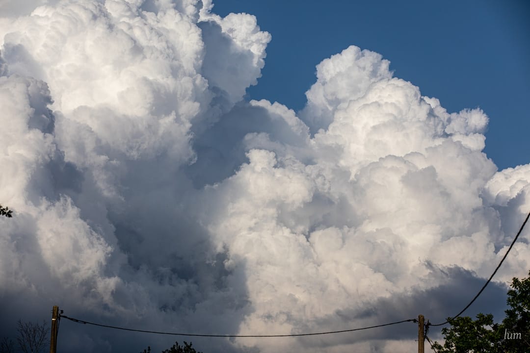 Nuage de coton - 08/05/2020 20:02 -  Lum Photographie