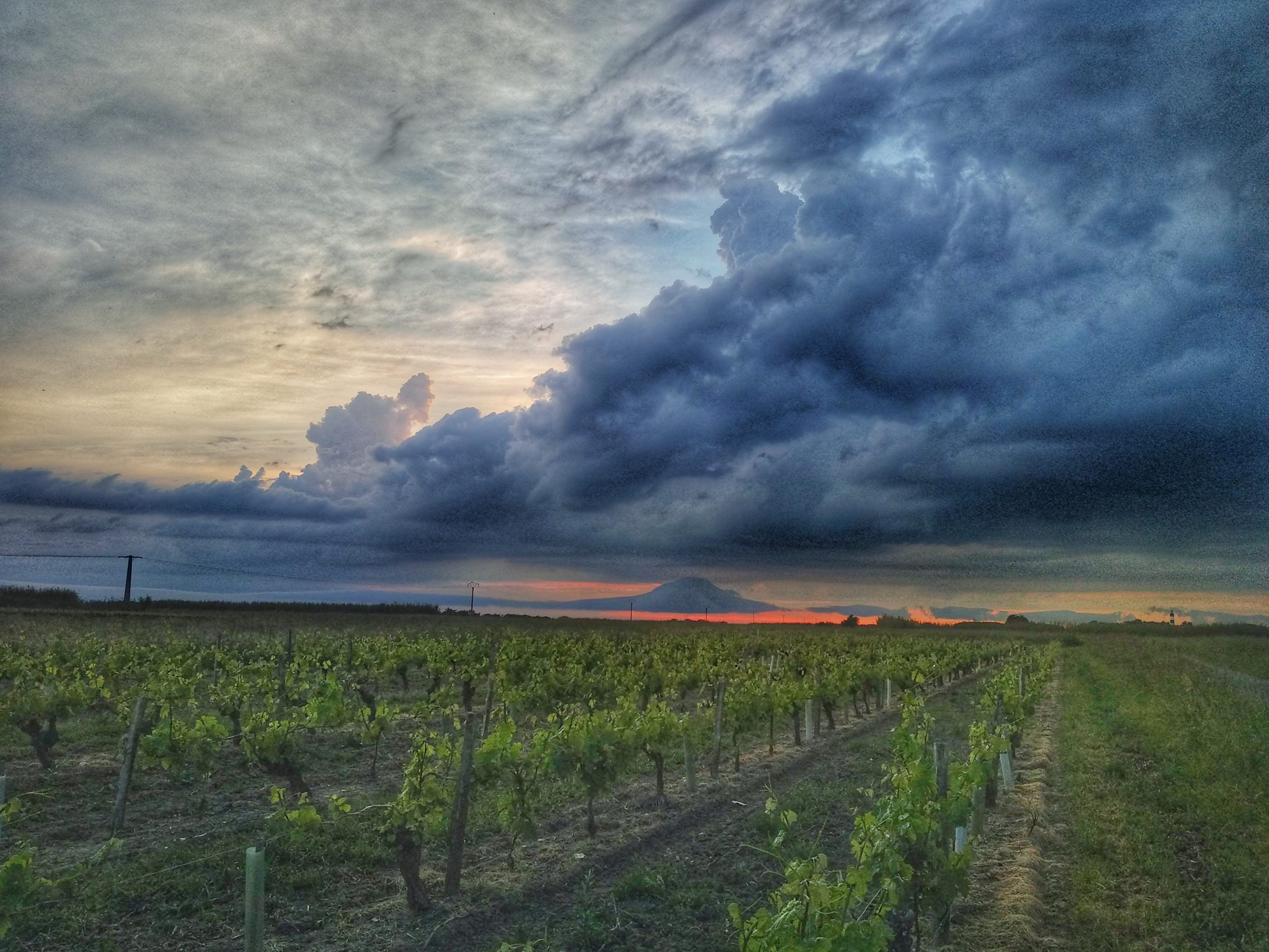 Une autre vue hier soir sur le nord d'Oléron - 09/05/2020 21:10 -  Berthelot