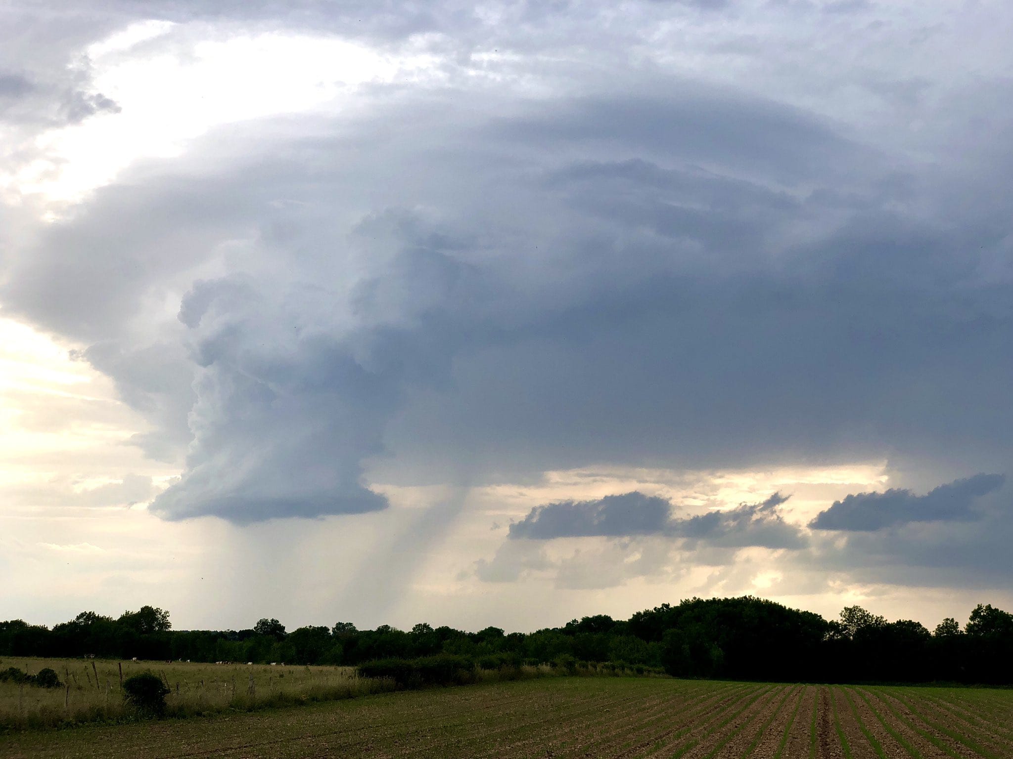 Mesocyclone bien marqué à la suite d’un split probable d’une supercellule entre #niort et #saintes - 16/06/2021 20:00 - Gaetan JULIEN