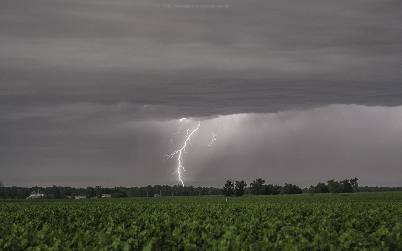 Impact ramifié sur la pointe de Médoc (33) - 20/07/2019 04:41 - Mickael Cumulus