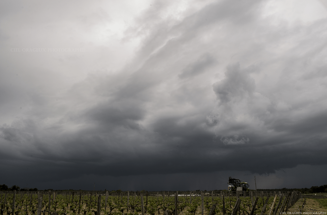 Orages modérés dans le Sud-Médoc (33) - 23/04/2019 16:25 - Mickael Cumulus