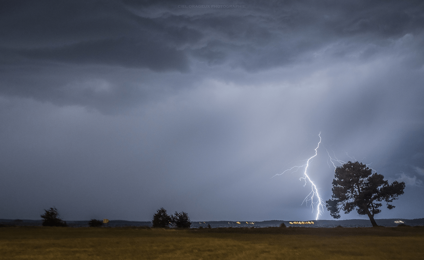 Impact ramifié près du Lac de Lacanau (33) - 25/07/2019 22:52 - Mickael Cumulus