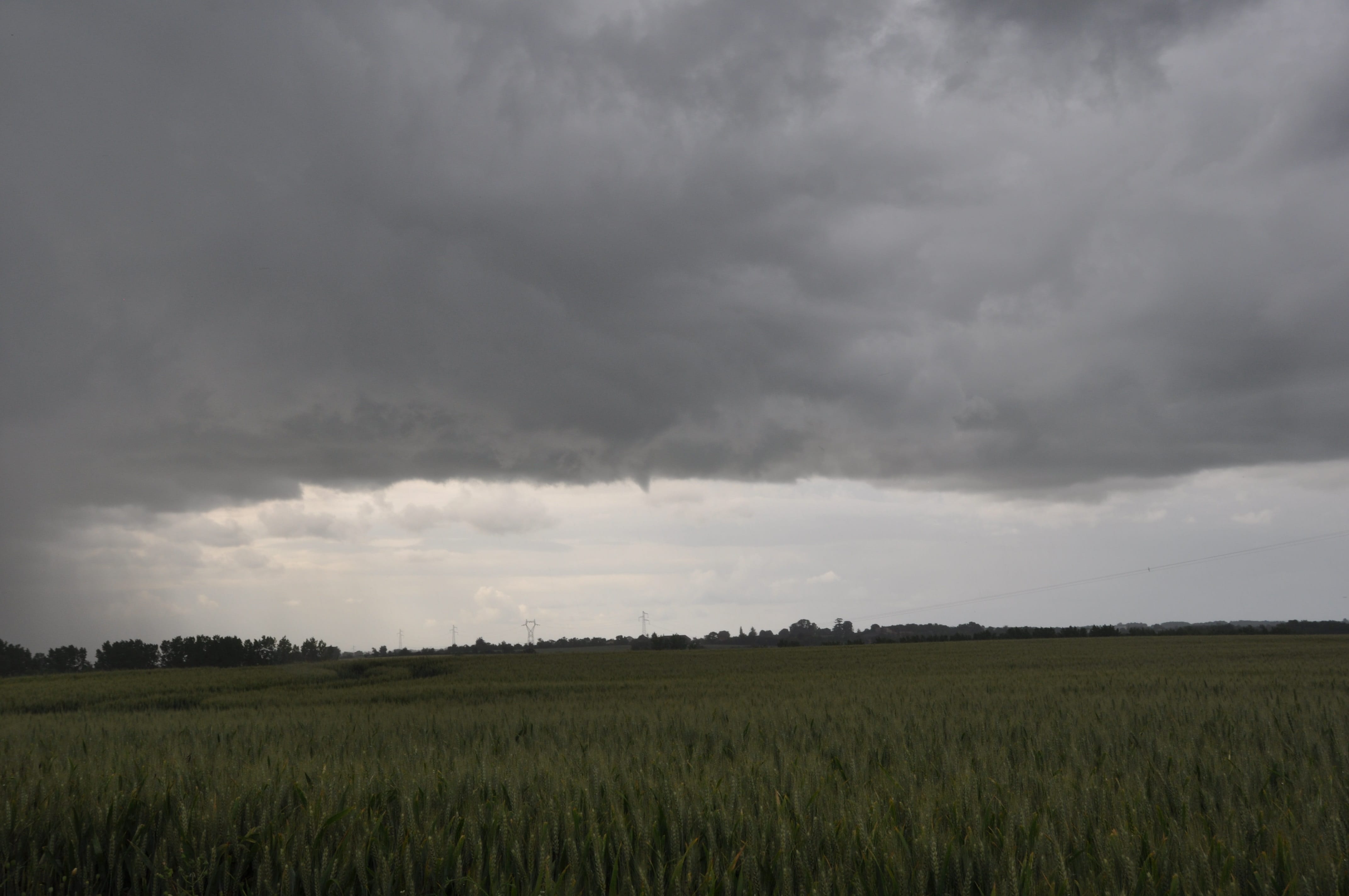 Premier Tuba à l'arrière de la cellule au Nord Ouest de Niort - 28/05/2018 18:25 - ARNAUD GUERIN