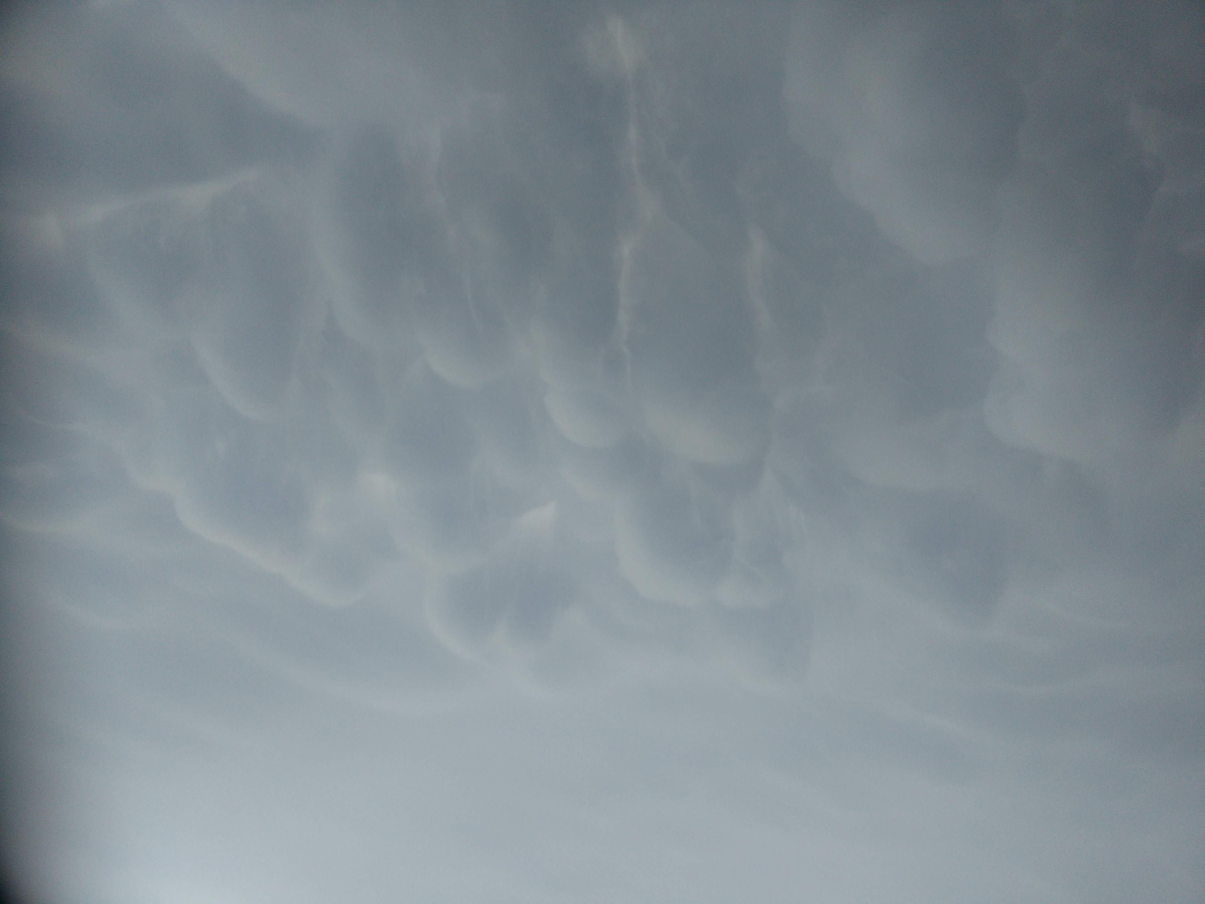 Mamatus à Montpellier - 01/08/2018 18:05 - karen Brokke