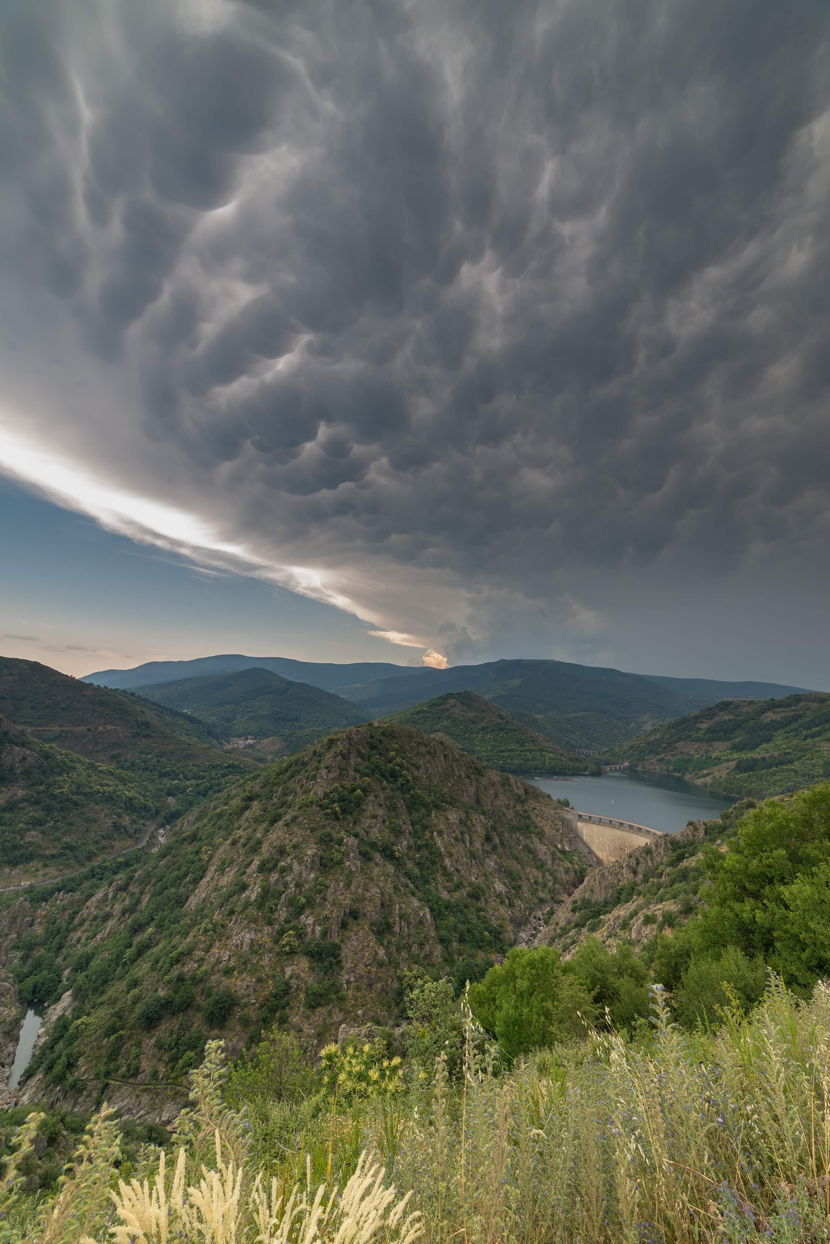 Mamatus sur le lac de villefort - 02/07/2019 16:00 - Yannick Lecenes