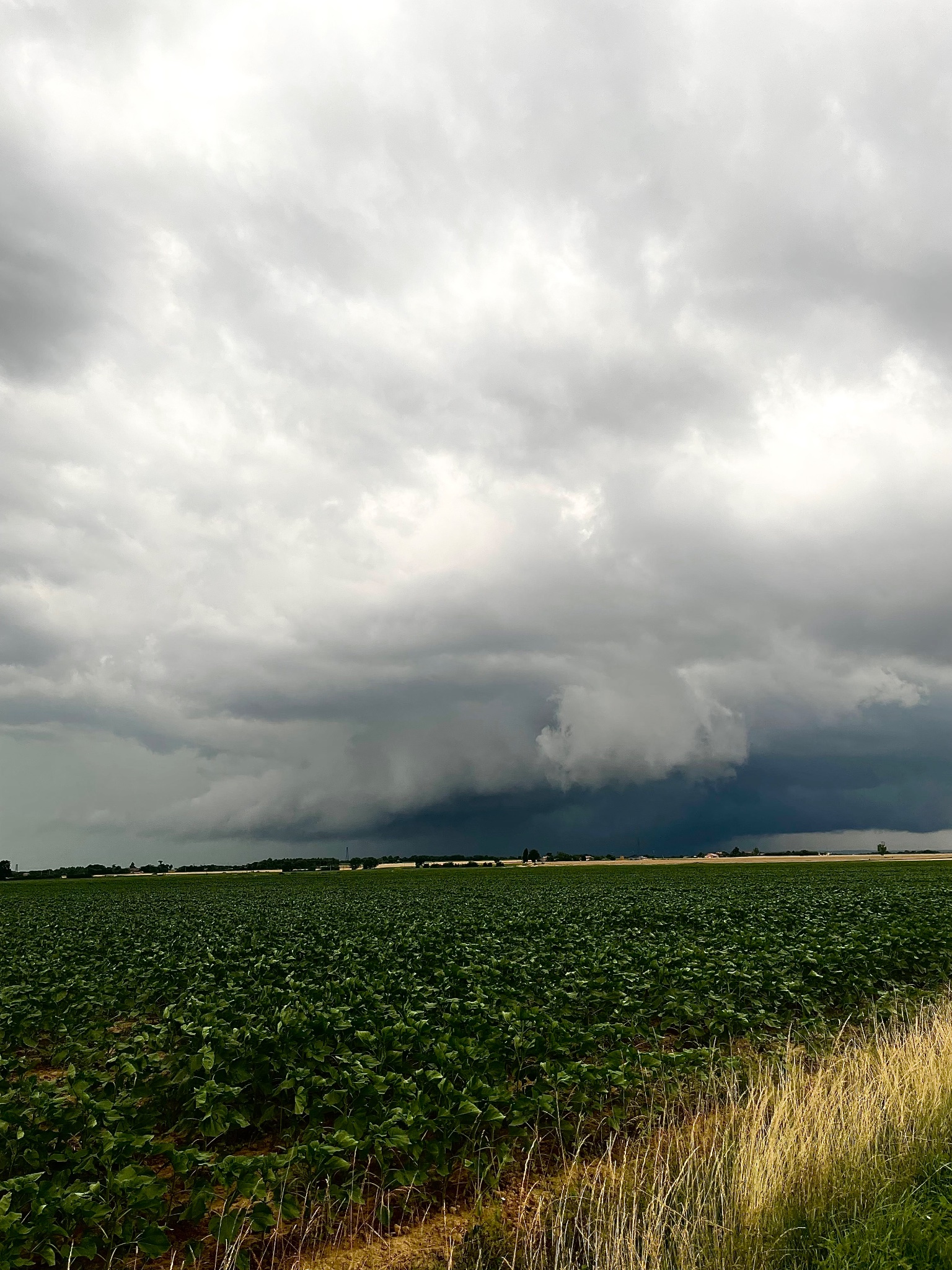 Supercellule monstrueuse et destructrice ce soir dans le Tarn-Et-Garonne, digne des grandes plaines américaines… 
Photo depuis le bord Sud du méso, la chair de poule. - 20/06/2023 20:00 -  @ColeresLes