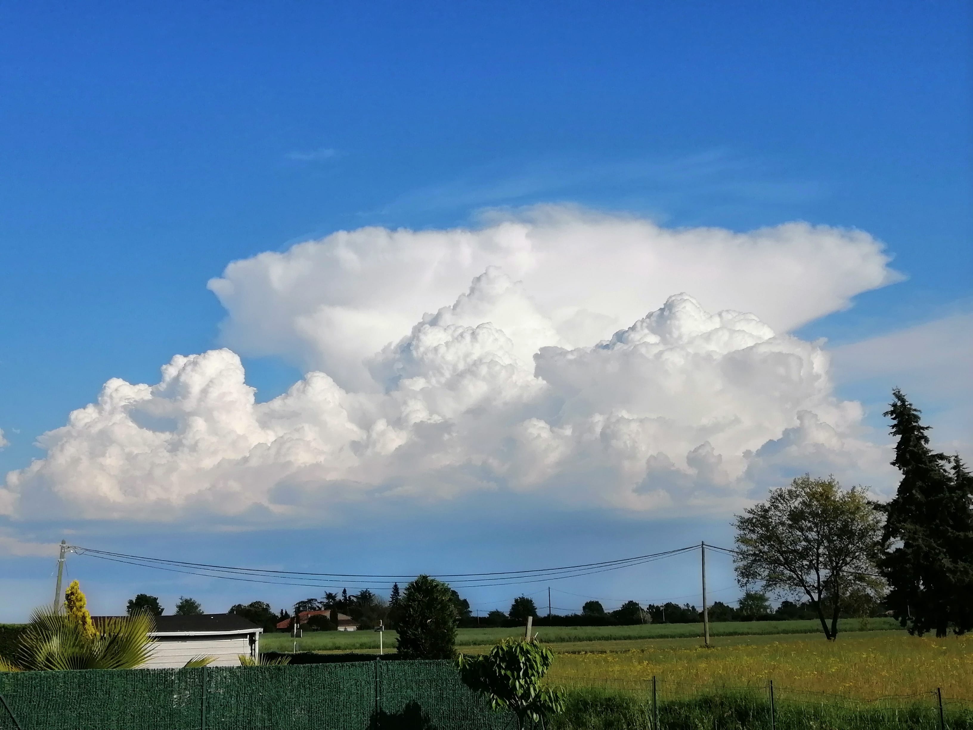 Photo prise dans l'ouest de la Haute Garonne ( Toulouse) - 25/04/2020 18:45 - Caroline Hellec