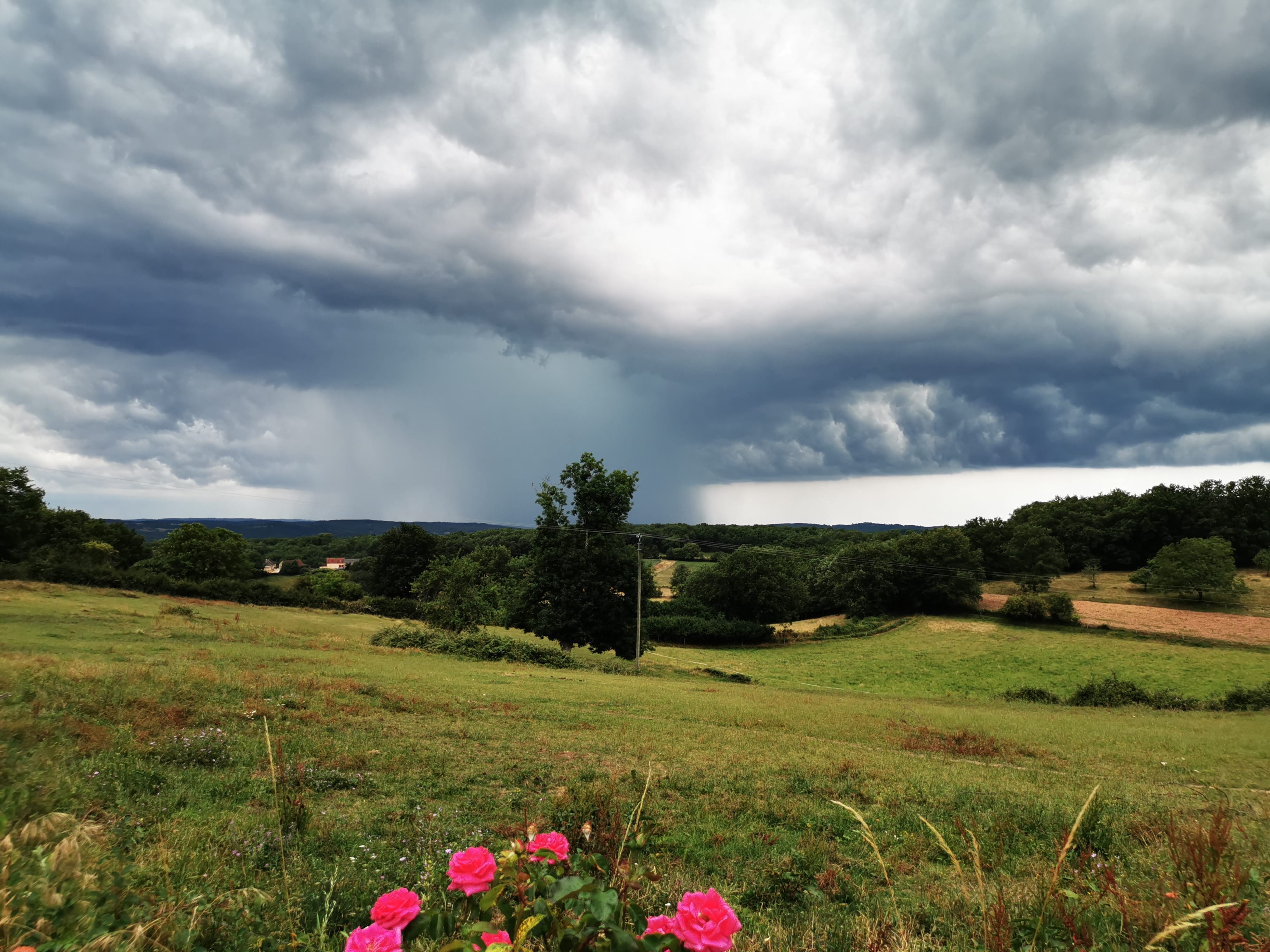 Quelques minutes avant l'orage - 26/06/2020 21:16 - Simon Pluie Catus