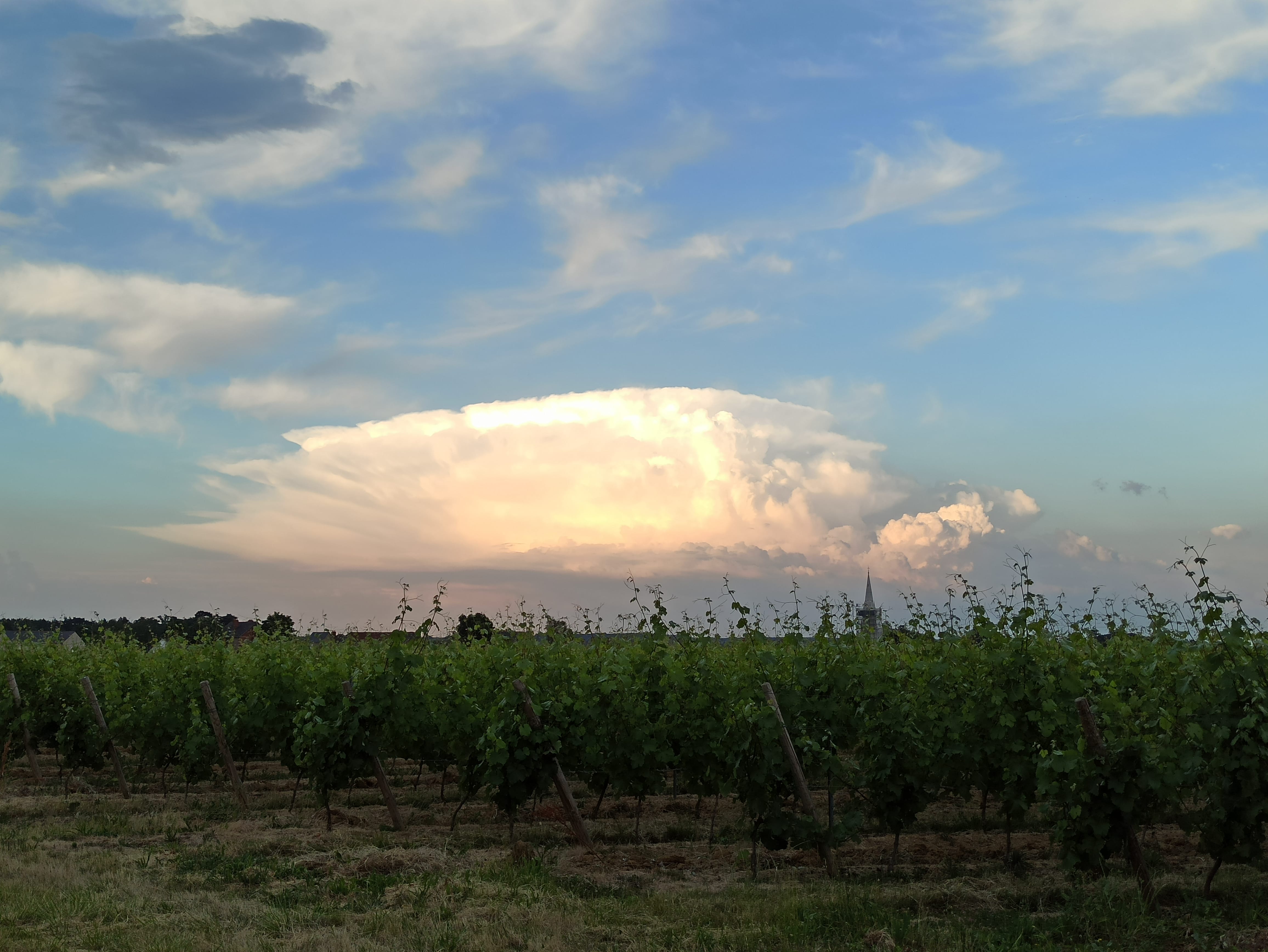 Au dessus des coteaux du layon - 03/06/2020 20:50 - Arnaud Leroyer