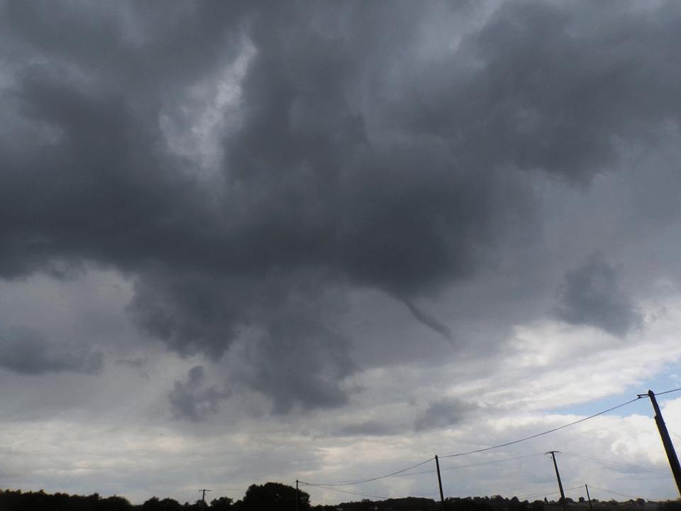 Tuba observé dans le Nord-Est de la Vendée entre les communes de Treize-Vents et Saint Laurent-sur-Sèvre - 03/05/2017 14:30 - Yohan JADEAU