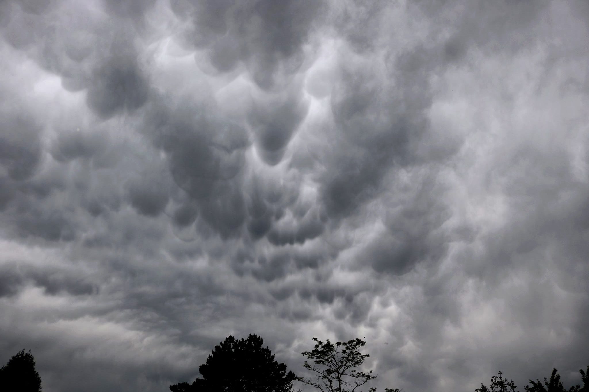 Un ciel très menaçant avec de nombreux mammatus dans le nord-Vendée (à Treize-Vents). Les orages sont en approche de la façade Atlantique :) - 04/05/2020 19:45 - Yohan JADEAU