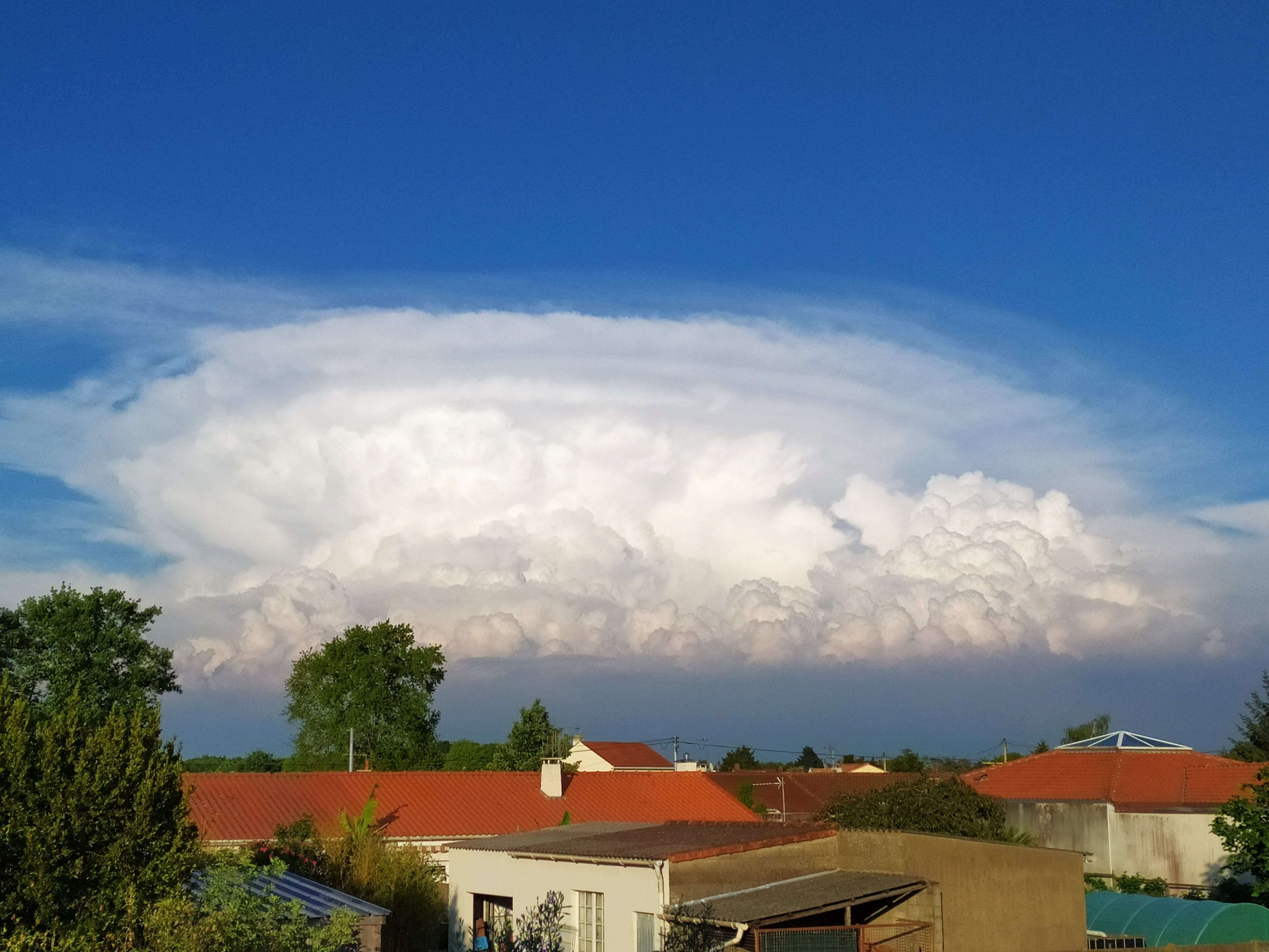 Magnifique cellule orageuse à l'est ( région de Cholet) - 26/04/2020 19:30 - olivier Ledroit