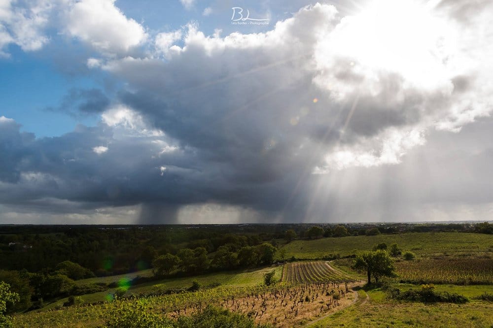 Début de soirée instable sur le vignoble Nantais - 30/04/2017 19:00 - Léo BARILLER