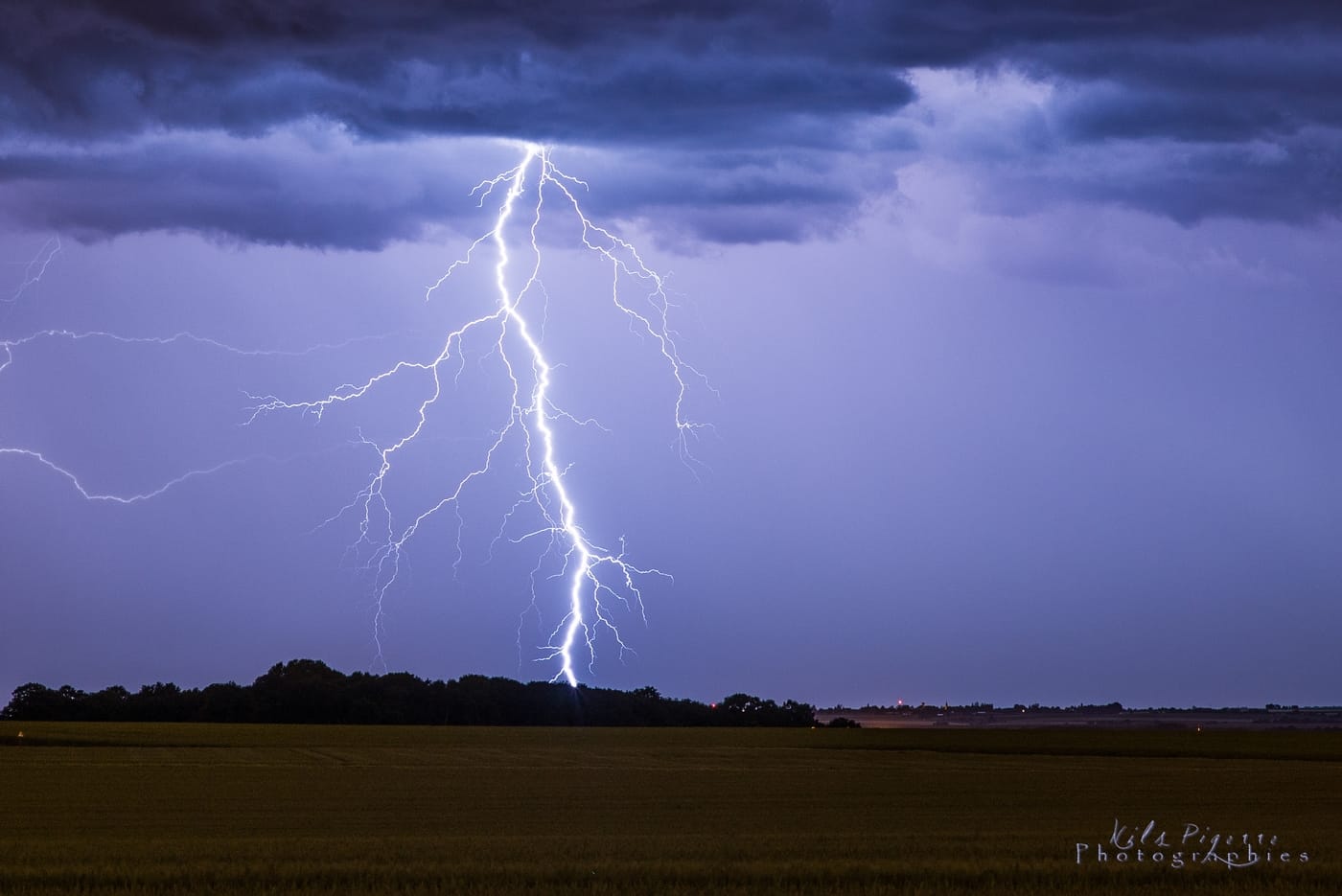 Ramifié en air sec frappant à l'arrière immédiat d'une cellule bien électrique sur l'Oise hier soir. - 08/06/2017 00:00 - Nils PIGERRE