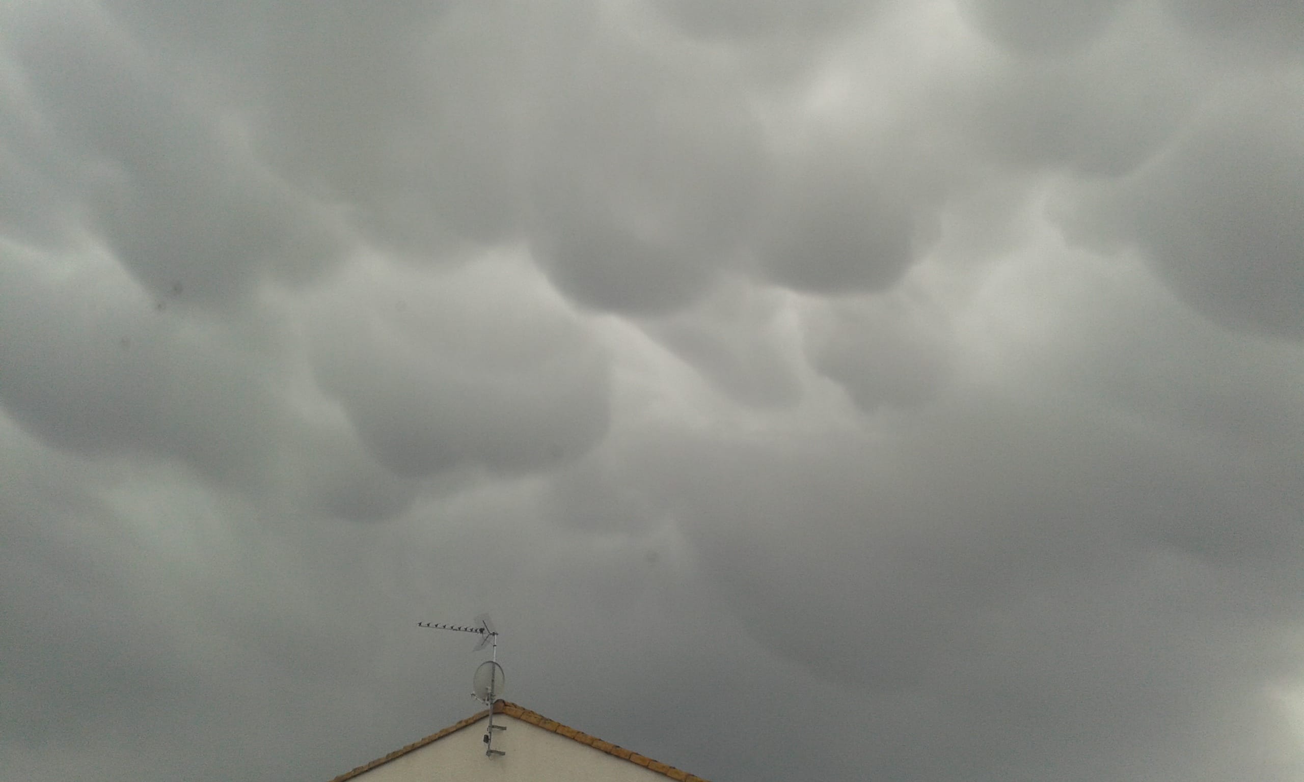 Mamatus pris sur Rochefort (Charente-Maritime) le 28/02/2017 à 12h45. - 28/02/2017 12:45 - Sébastien Templier